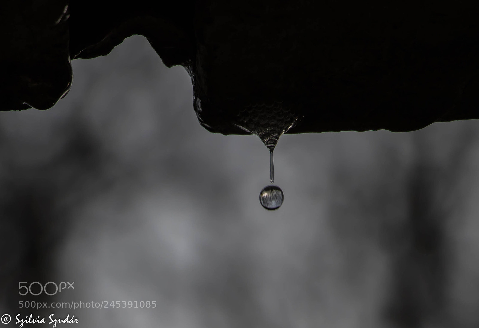 Canon EOS 750D (EOS Rebel T6i / EOS Kiss X8i) sample photo. Rain photography