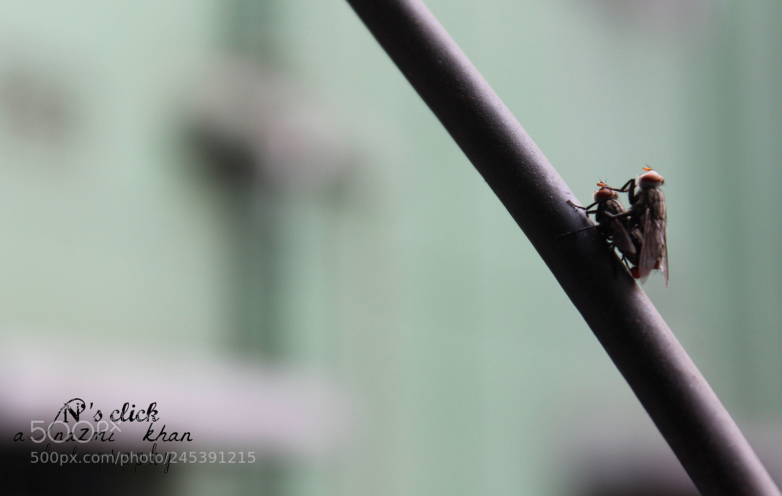 Canon EOS 1200D (EOS Rebel T5 / EOS Kiss X70 / EOS Hi) sample photo. Uff this photographers never photography