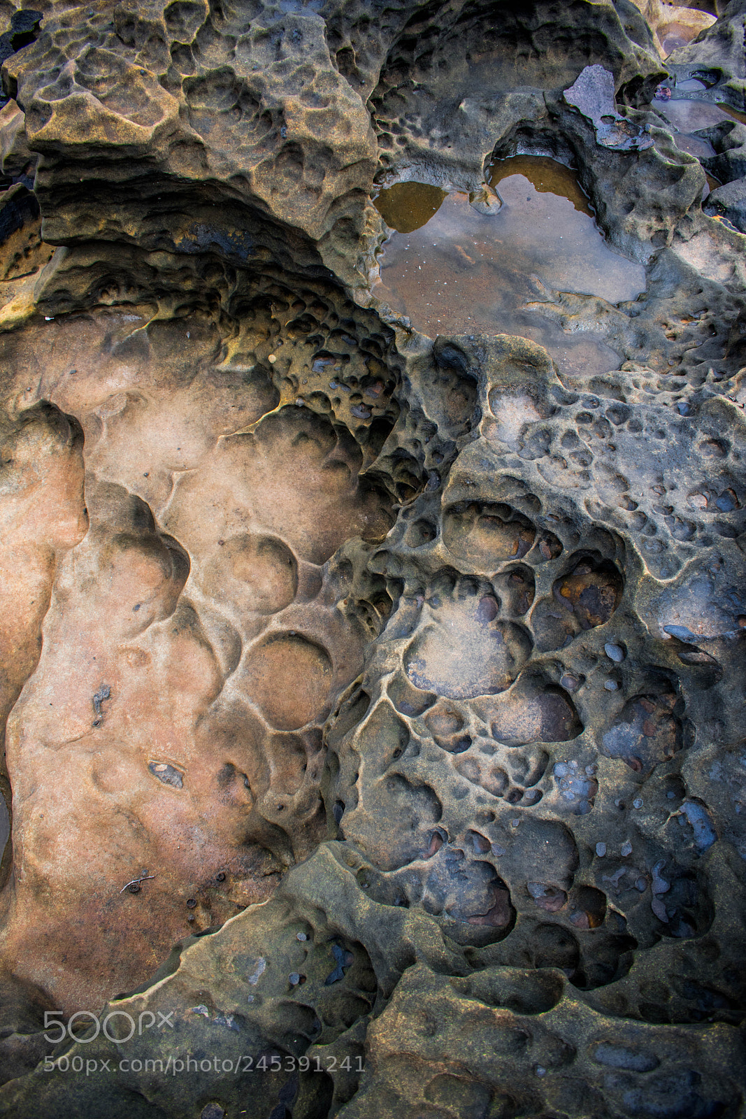 Nikon D3400 sample photo. Textures photography