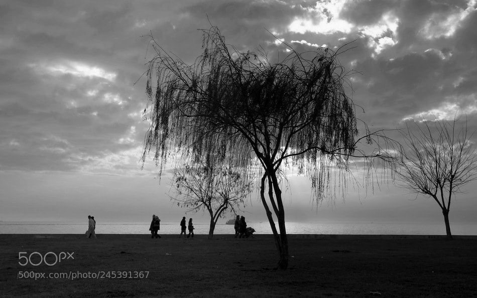 Samsung NX300 sample photo. ... photography