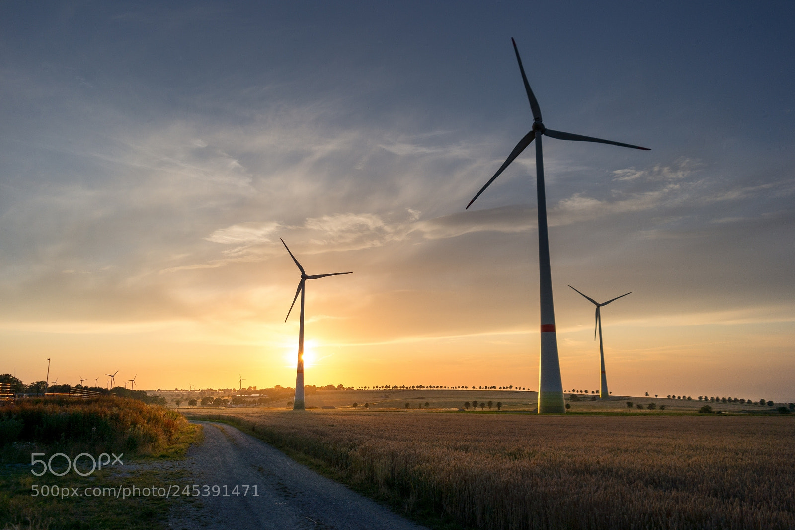 Samsung NX300 sample photo. Calm breeze sunset photography