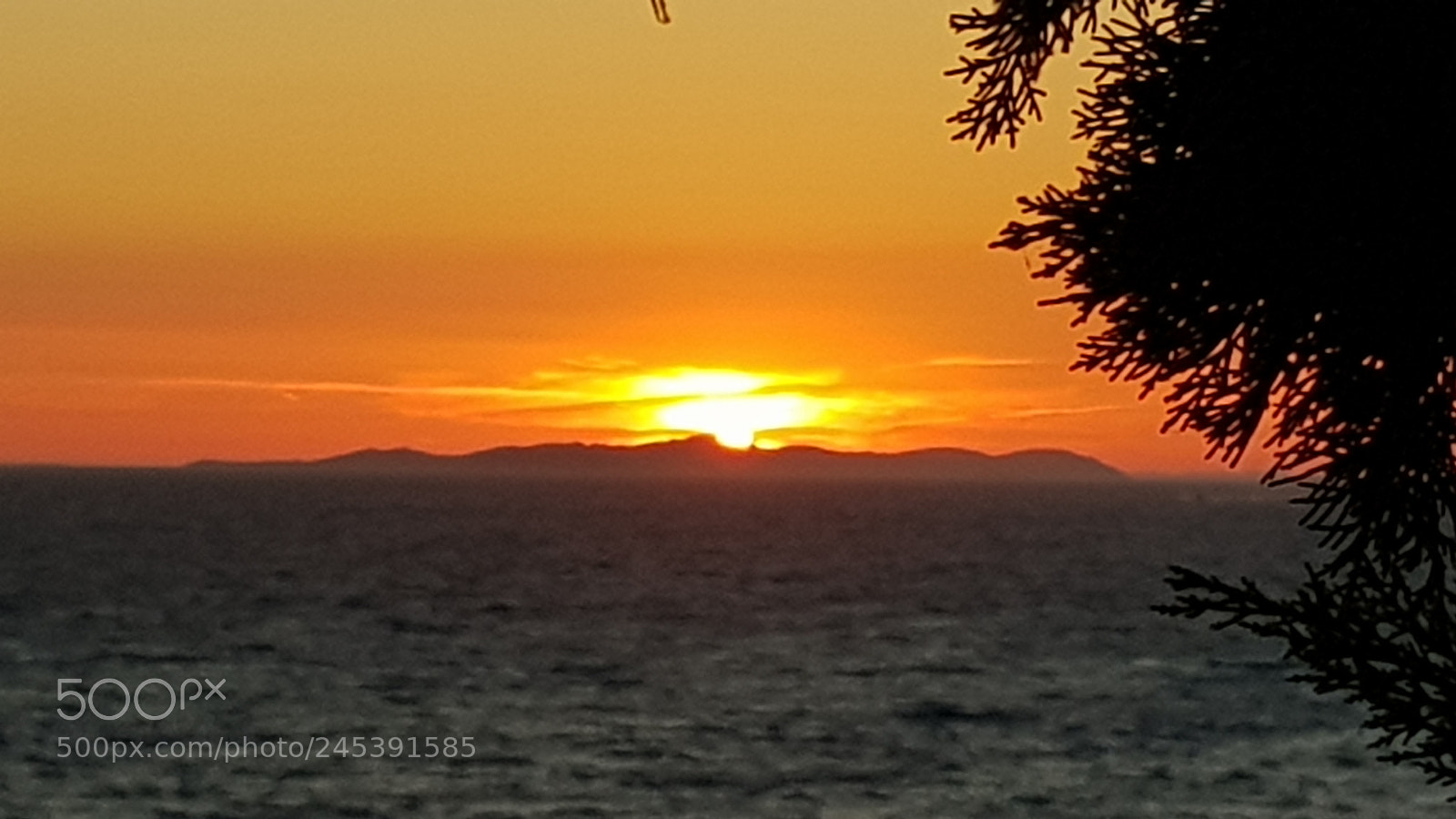 Samsung Galaxy S8 sample photo. Untitled photography