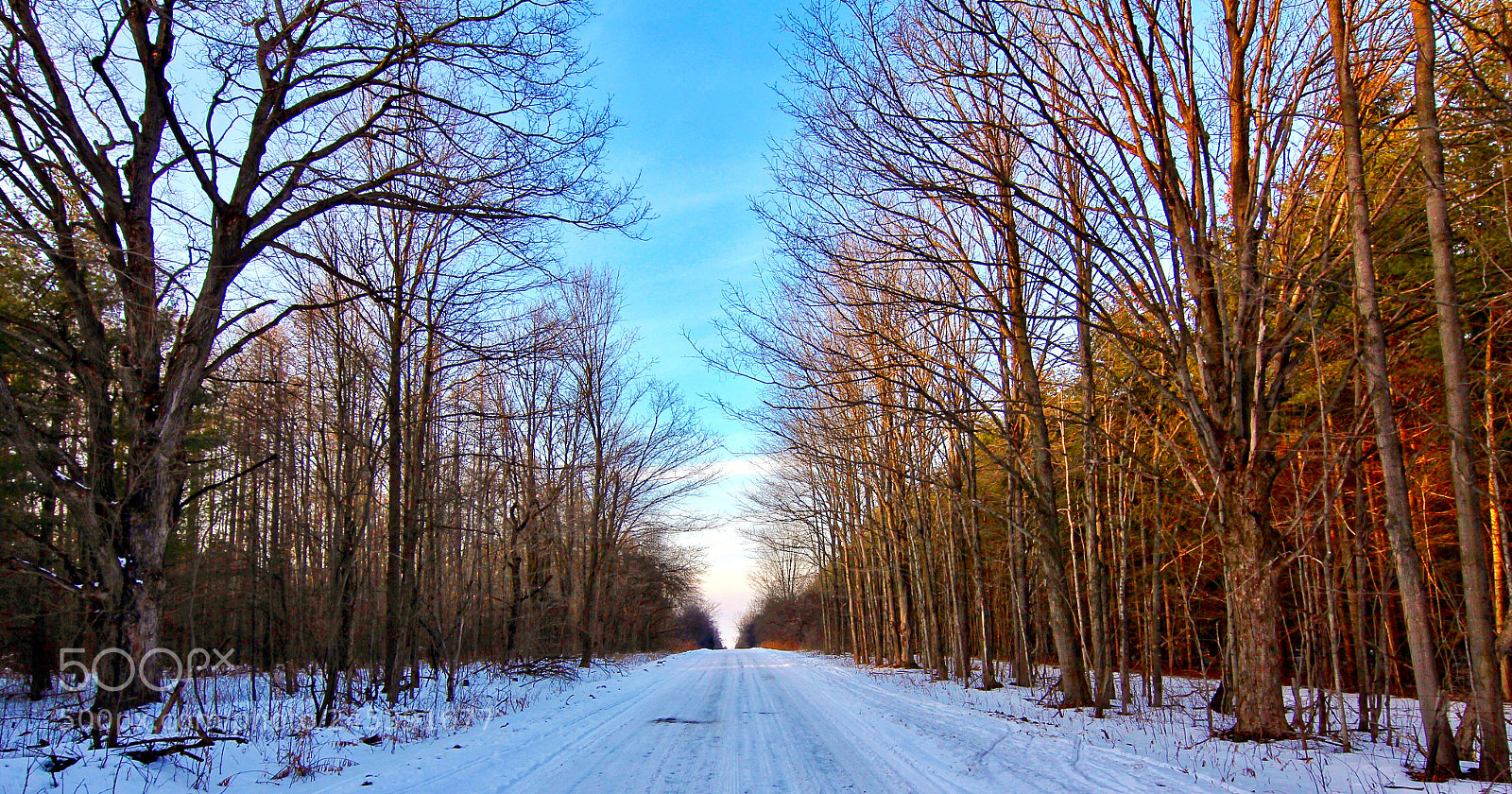 Canon EOS 60D sample photo. Way to the hope photography