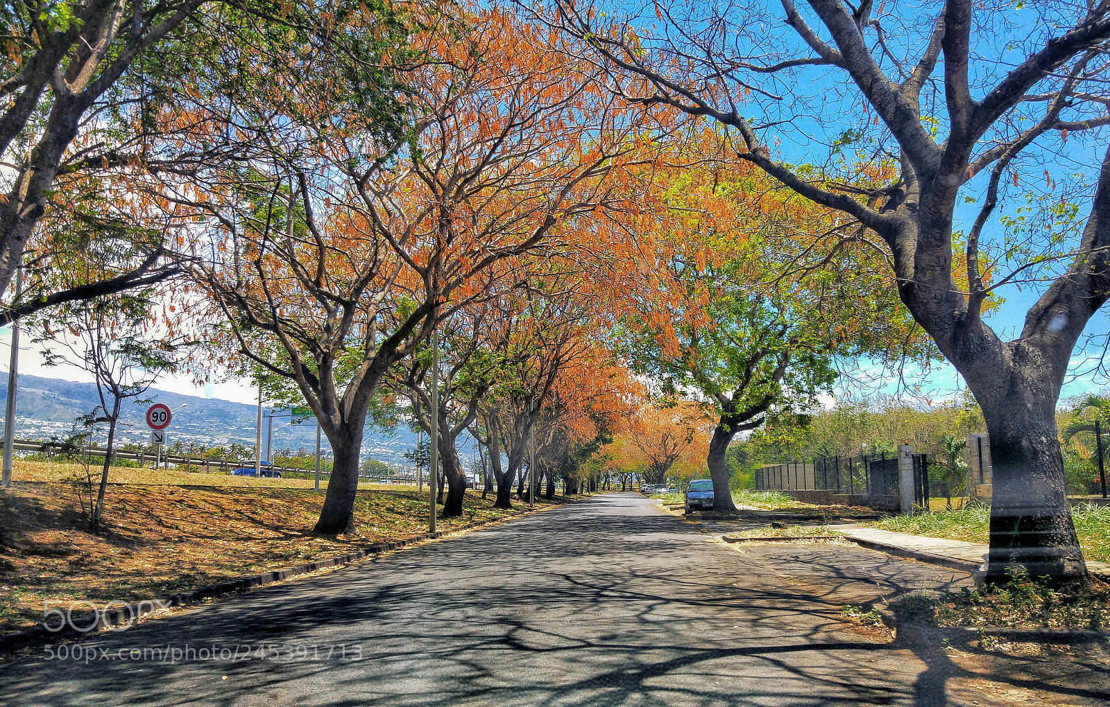 LG G4 sample photo. Autumn photography