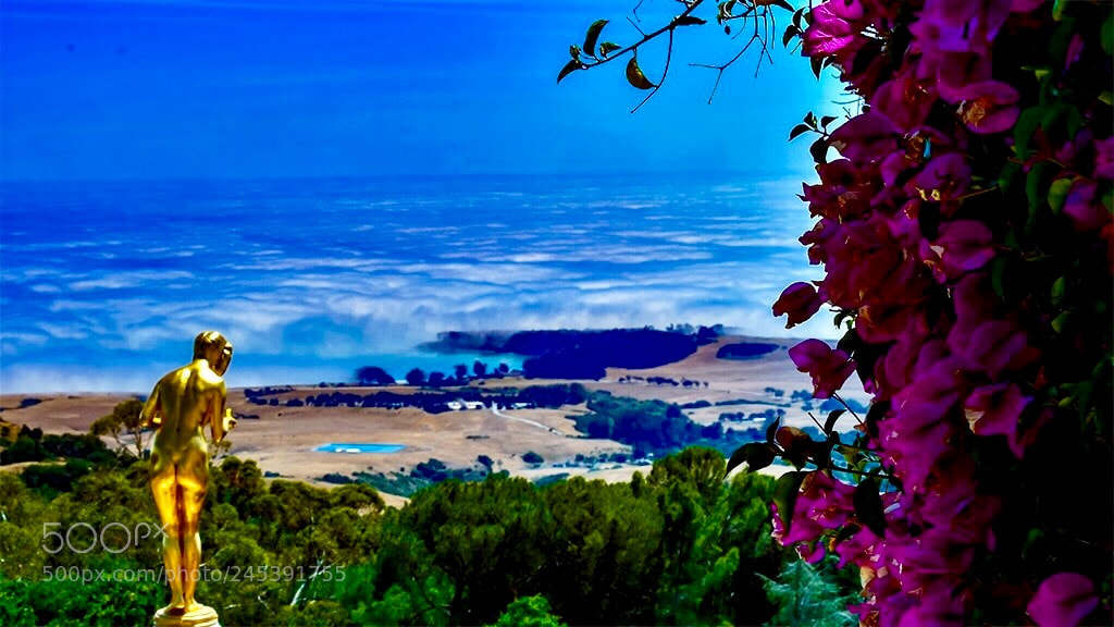 Nikon D500 sample photo. See the sea at photography