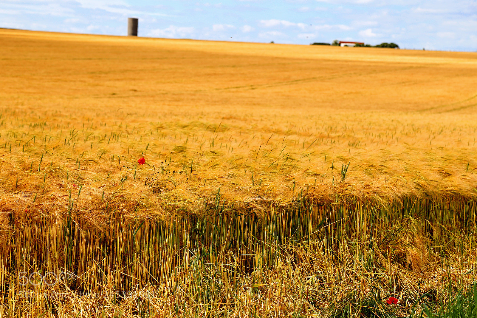 Canon EOS 6D + Canon EF 24-105mm F4L IS USM sample photo. Field near stonehenge photography