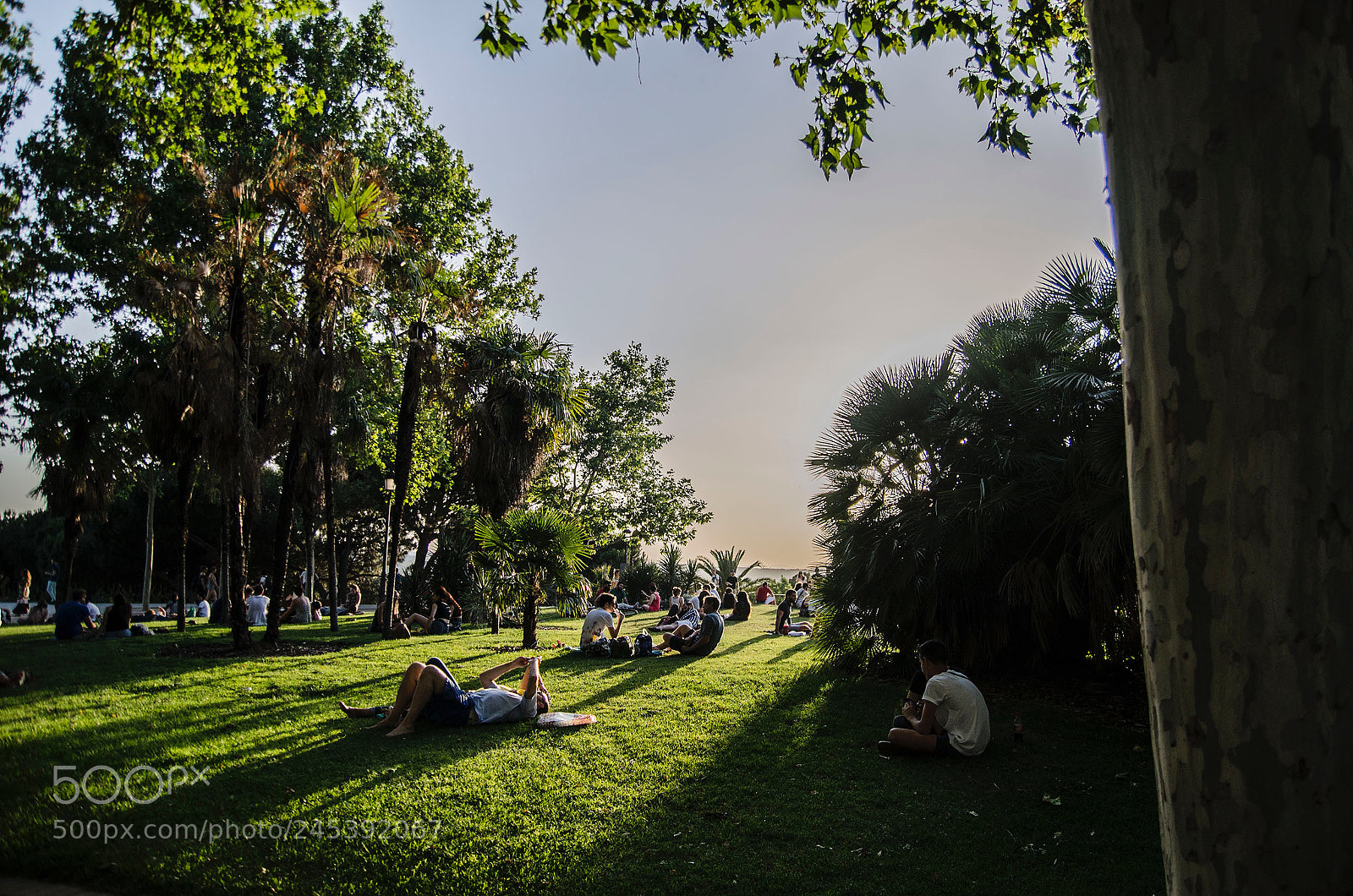 Nikon D5100 sample photo. Una tarde de primavera photography