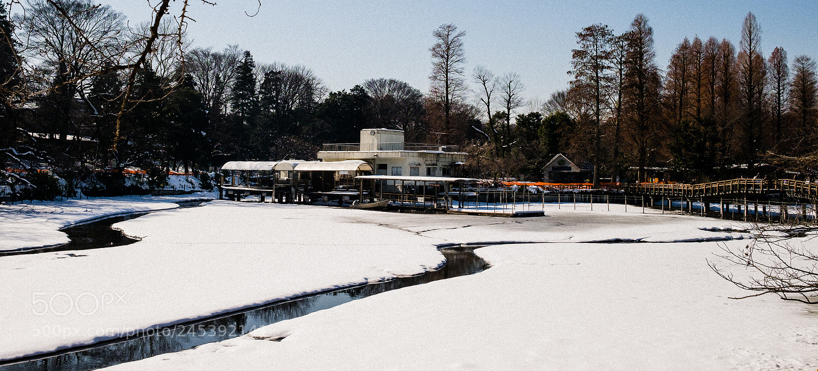 Fujifilm X-T10 sample photo. Untitled photography
