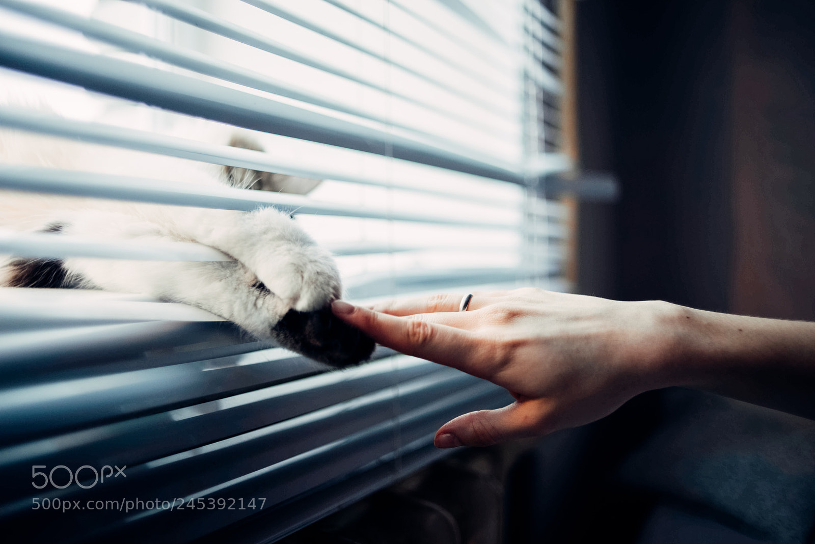 Nikon D610 sample photo. Дубна photography