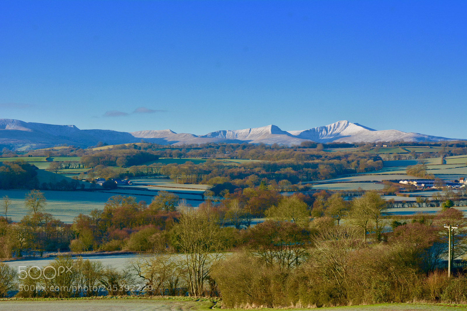 Nikon D7100 sample photo. Frosty mornings photography