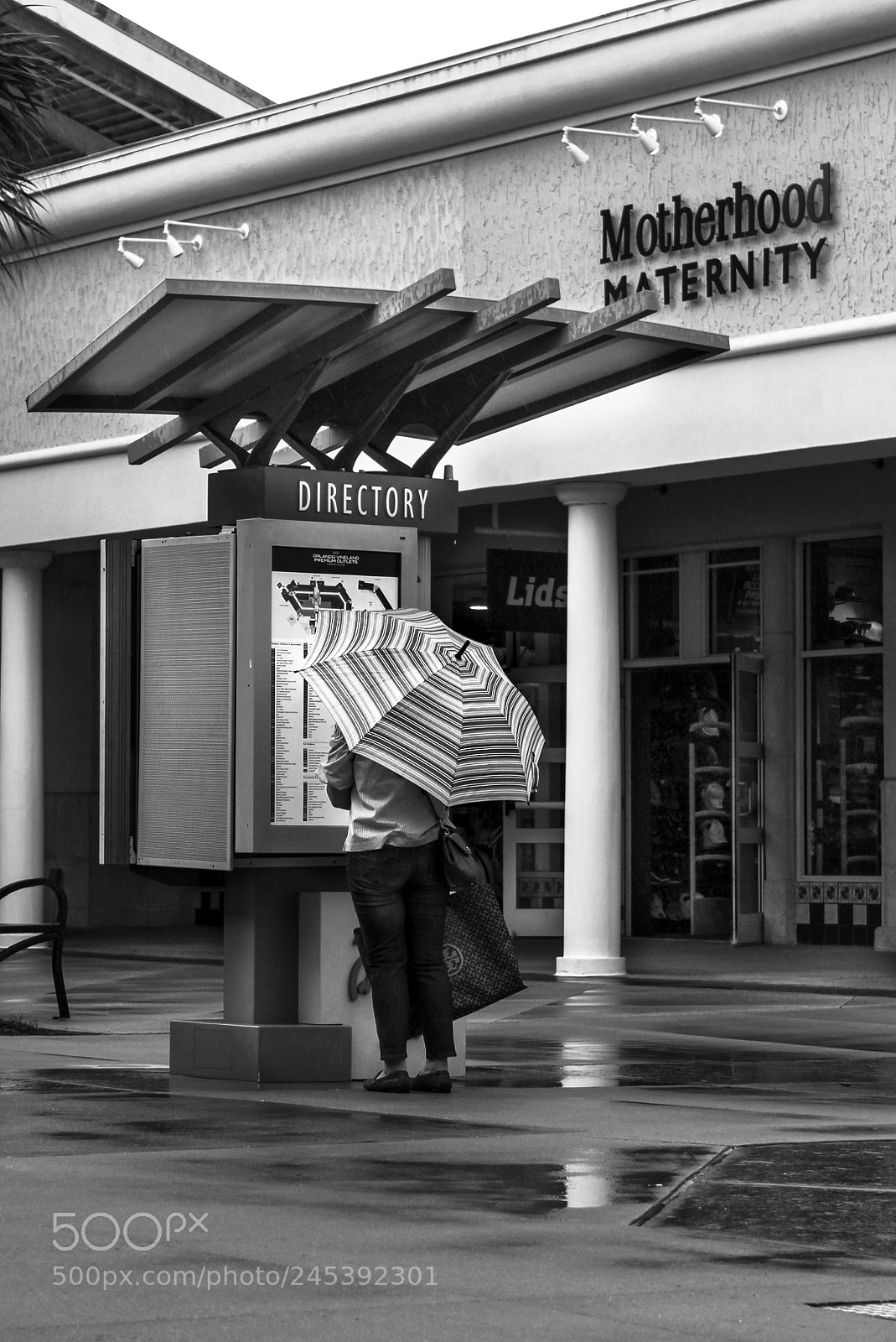 Canon EOS 550D (EOS Rebel T2i / EOS Kiss X4) sample photo. Staring the rain photography