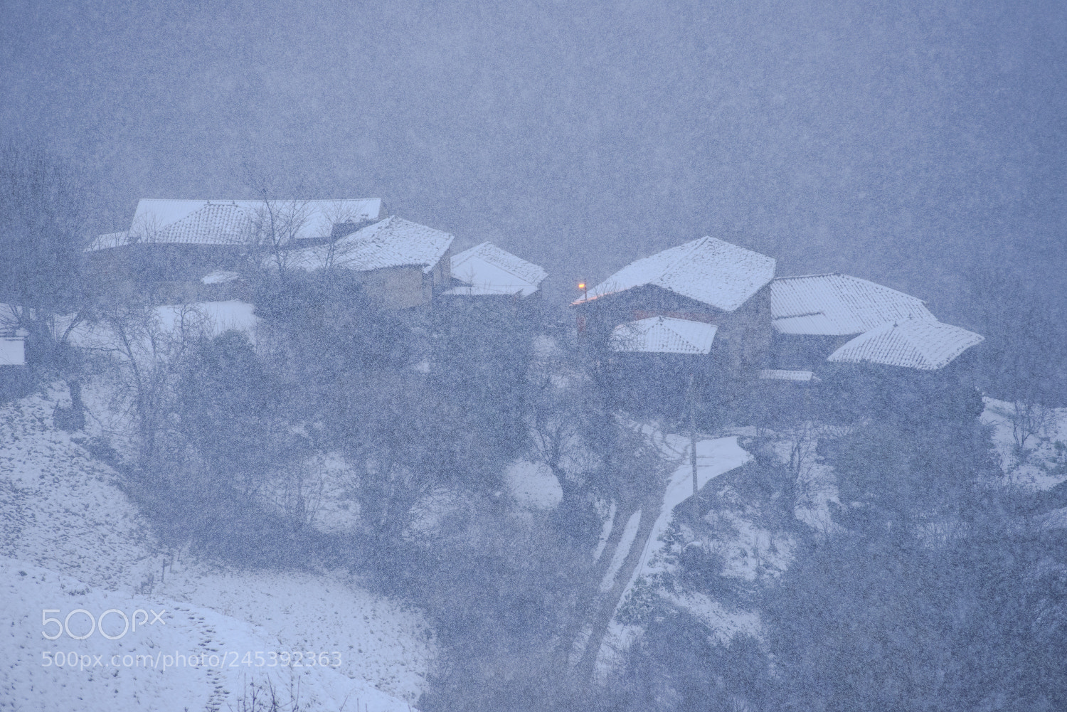 Nikon D610 sample photo. Through the snowflakes photography