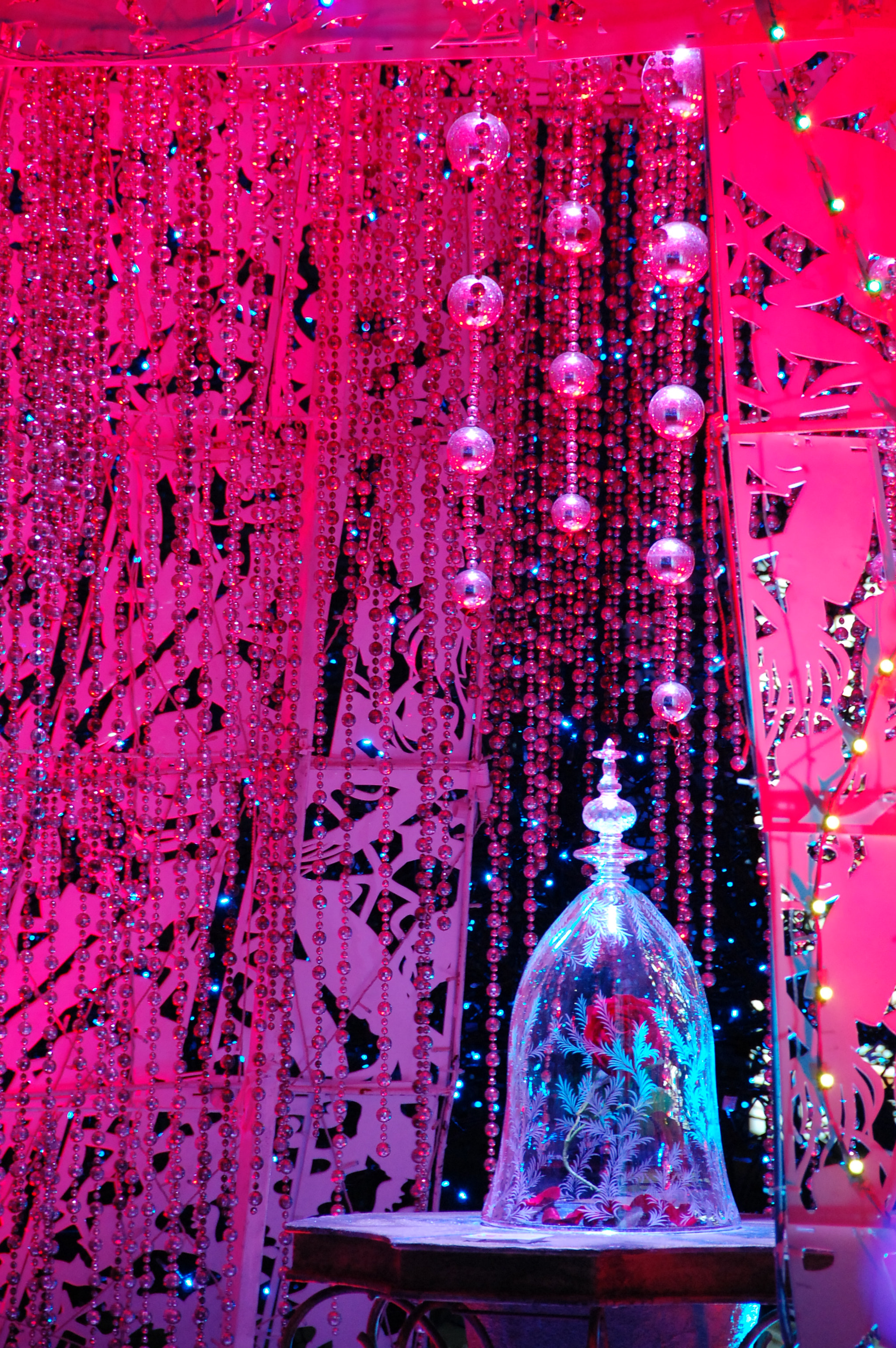 Nikon D40 sample photo. 「real love」 photography