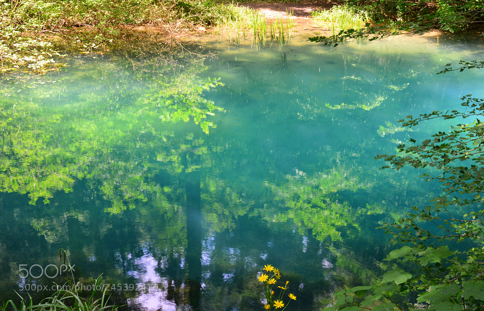 Nikon D5200 sample photo. Untitled photography