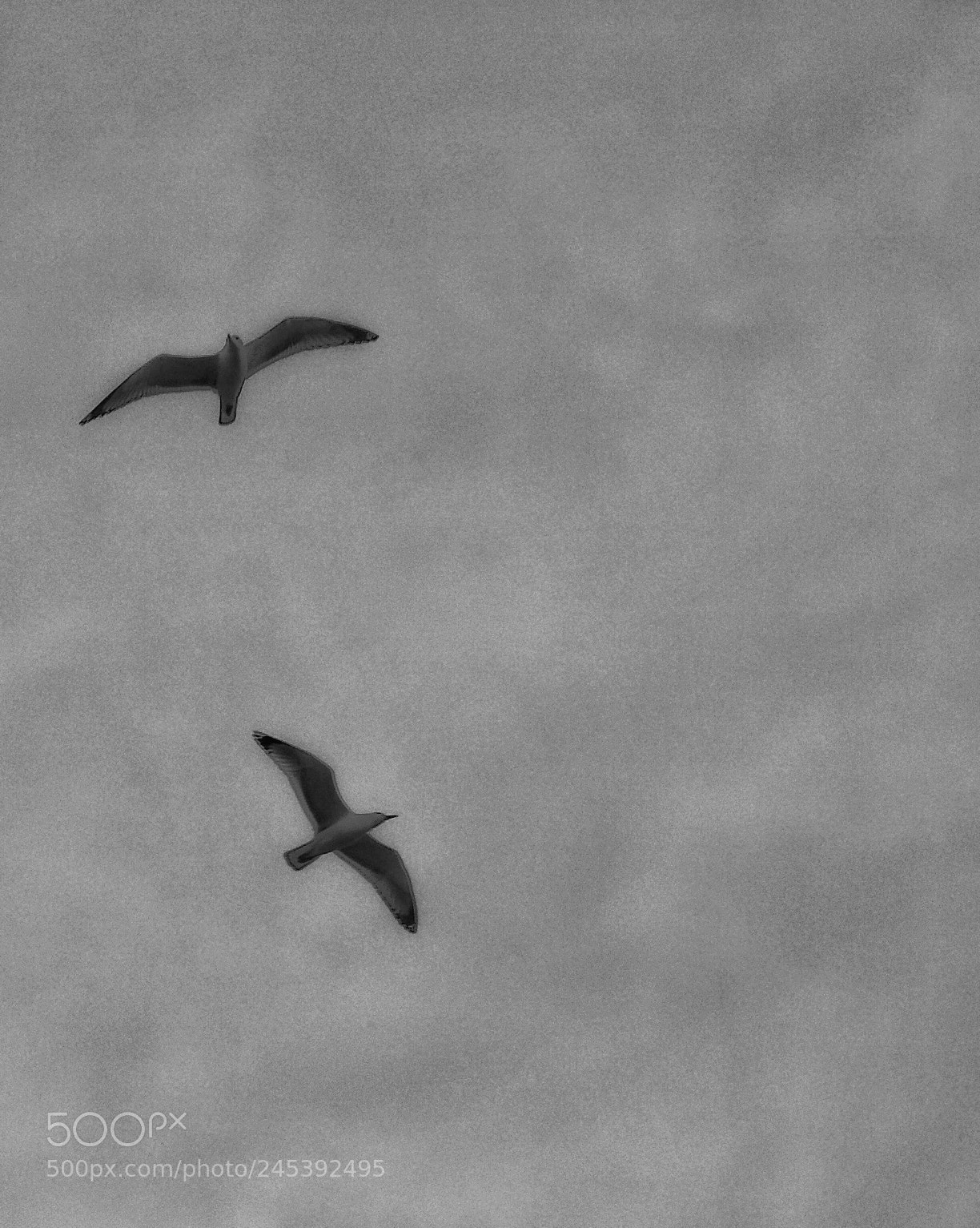 Olympus OM-D E-M10 II sample photo. Untitled photography