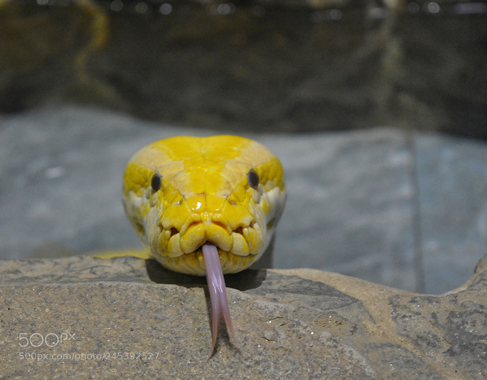 Nikon D5200 sample photo. Untitled photography
