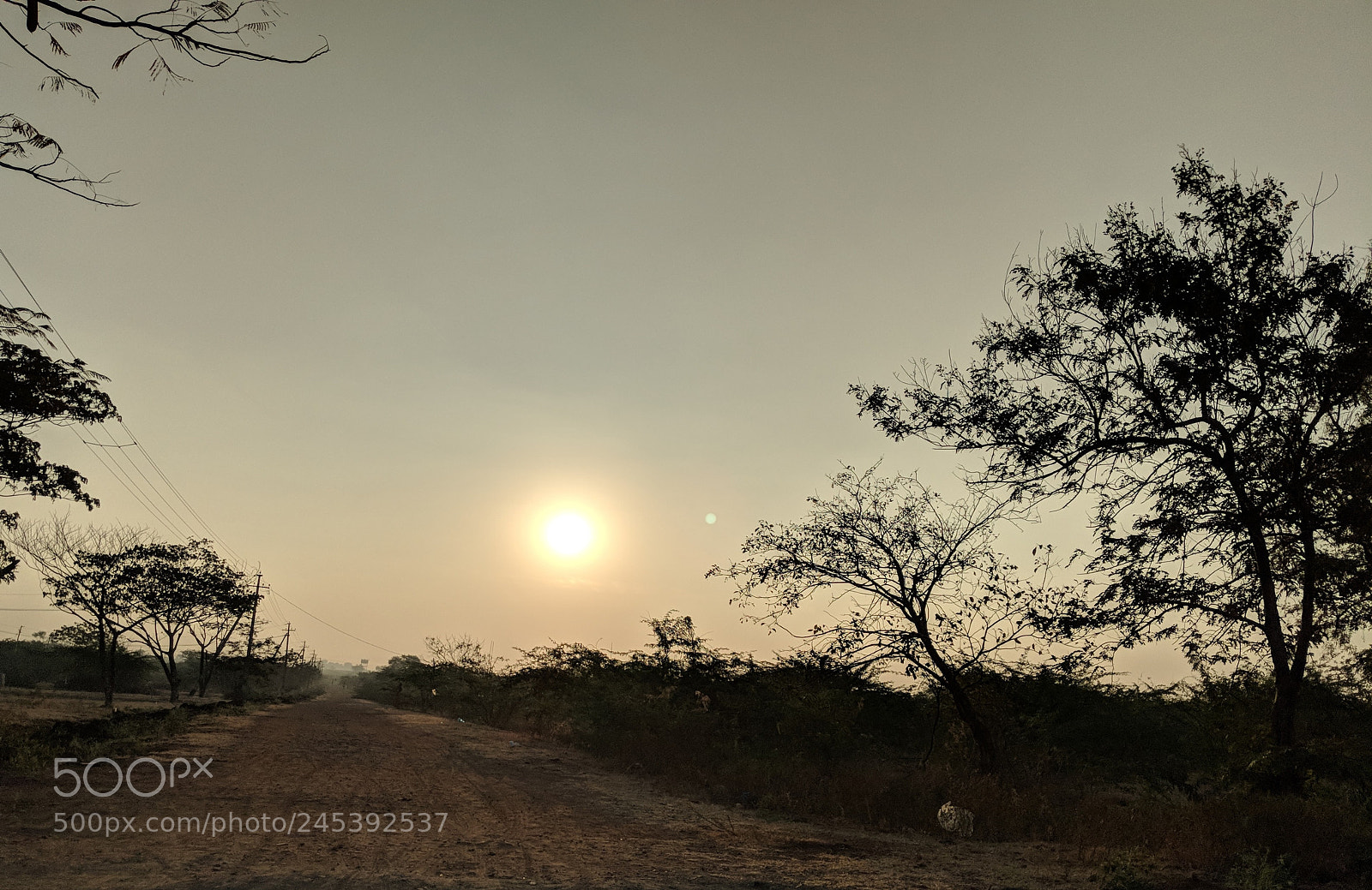 Google Pixel 2 sample photo. Sun rise with moon. photography