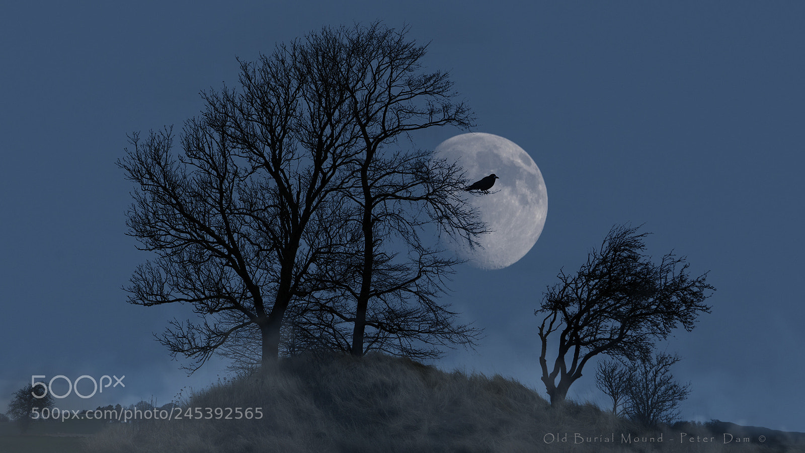 Canon EOS-1D Mark III sample photo. Old burial mound photography