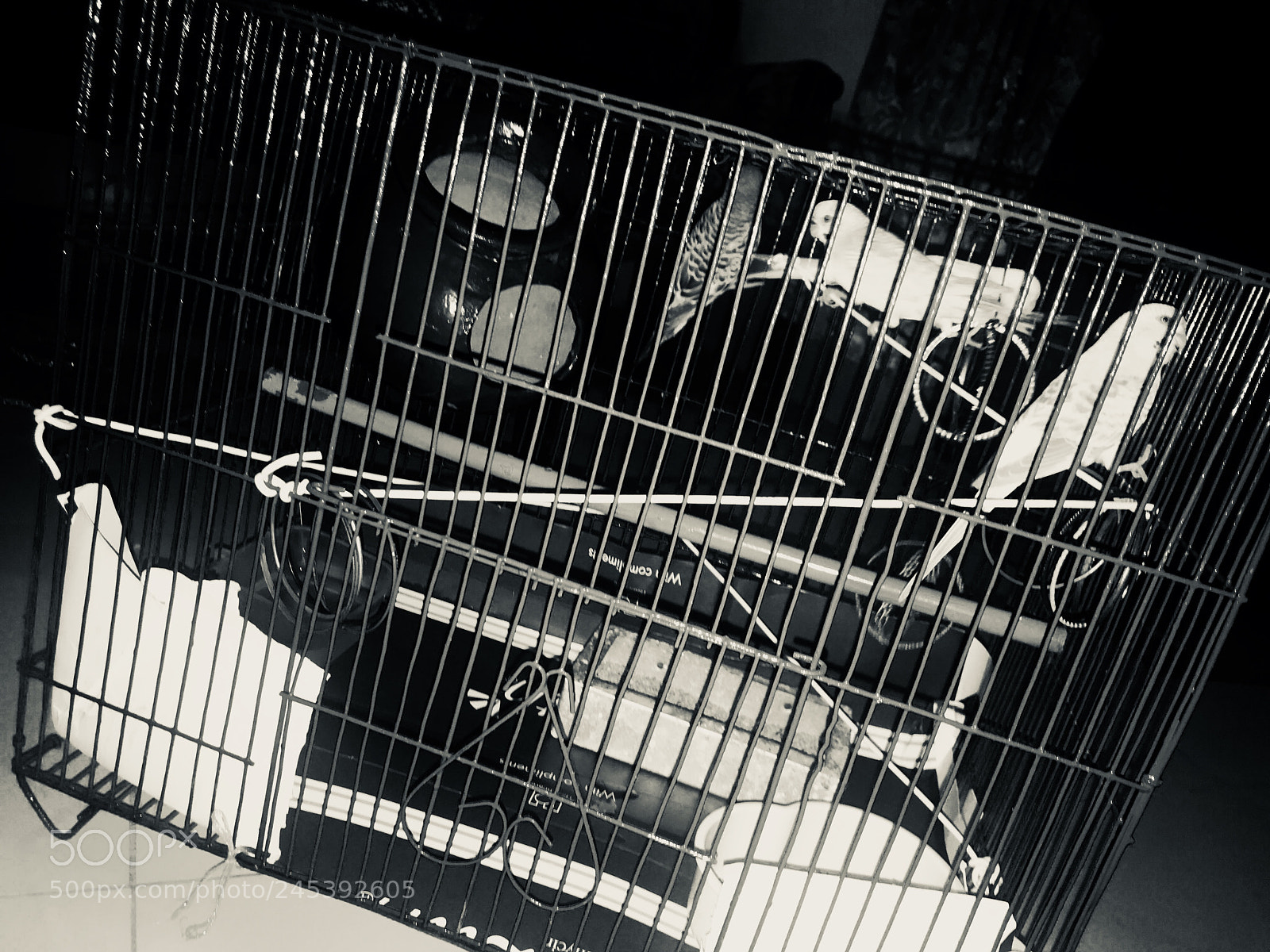 Apple iPhone 7 sample photo. Life & prison photography