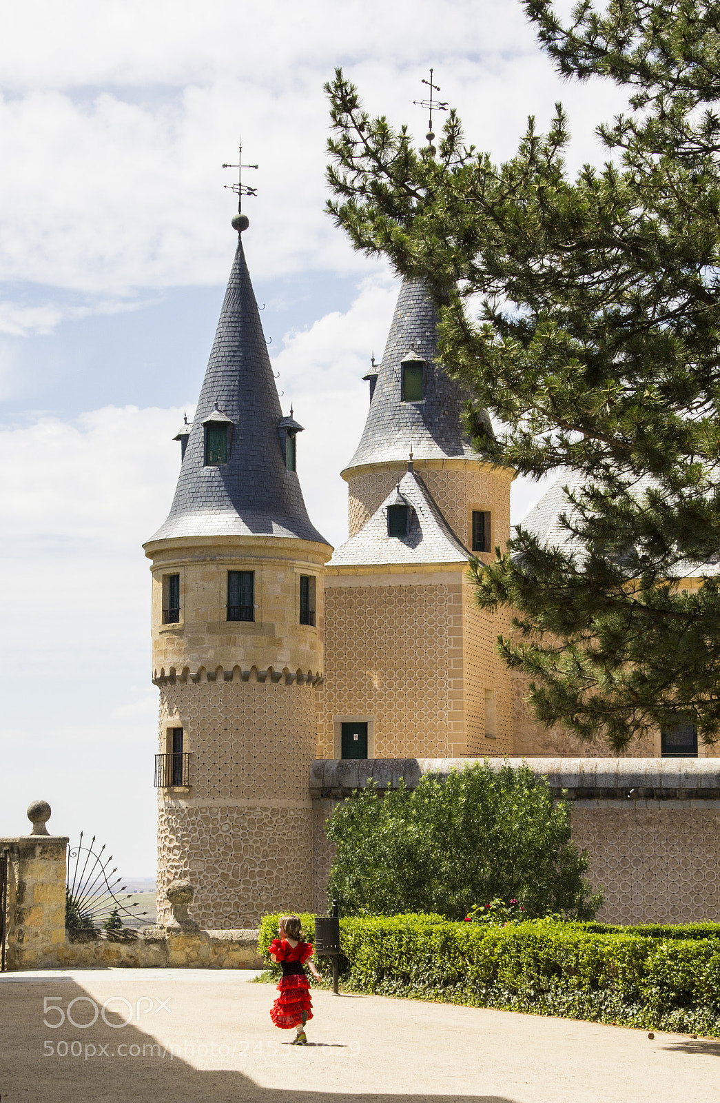 Canon EOS 60D sample photo. Alcazar de segovia photography