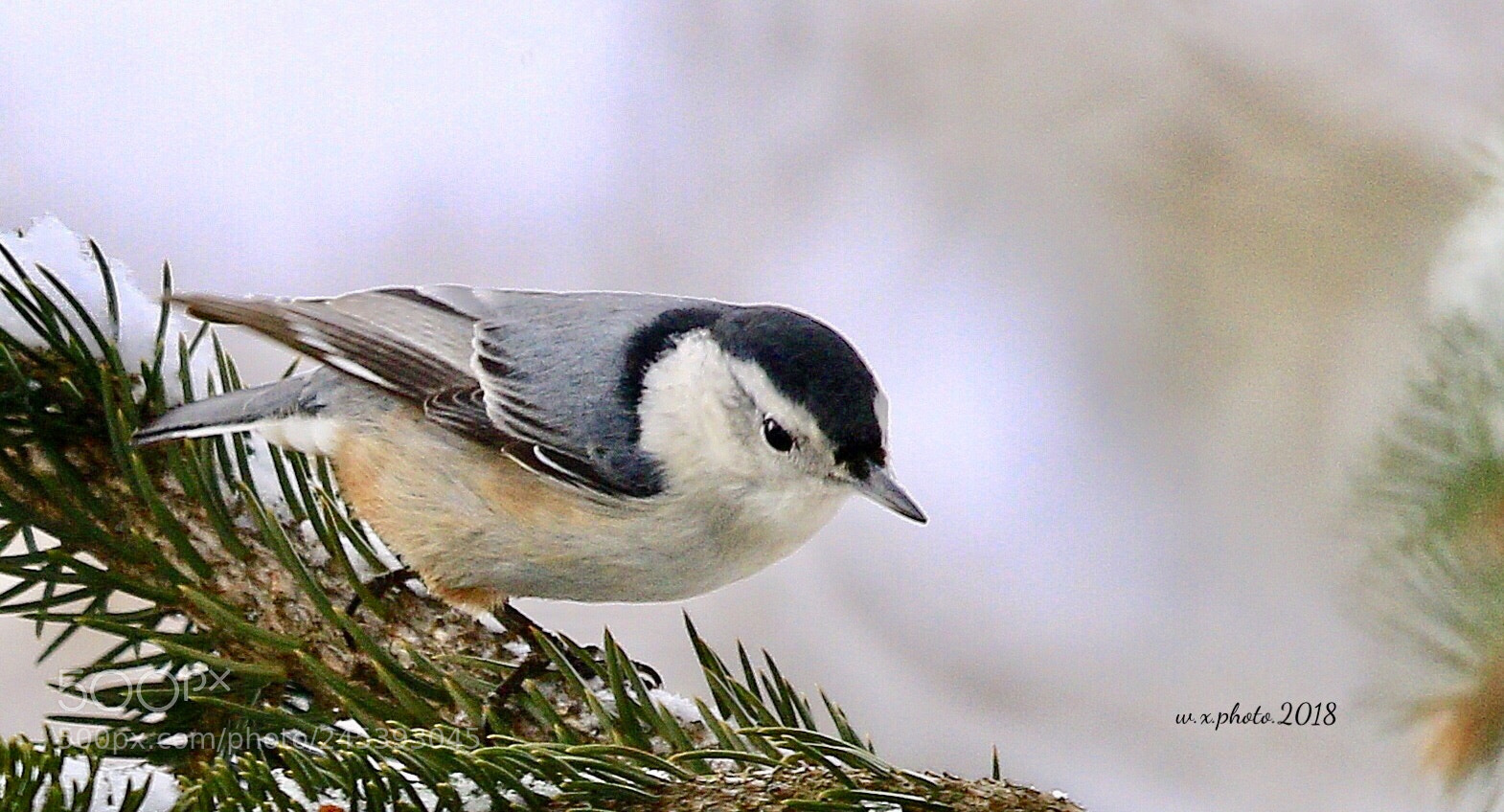Canon EOS 7D Mark II sample photo. Snow photography