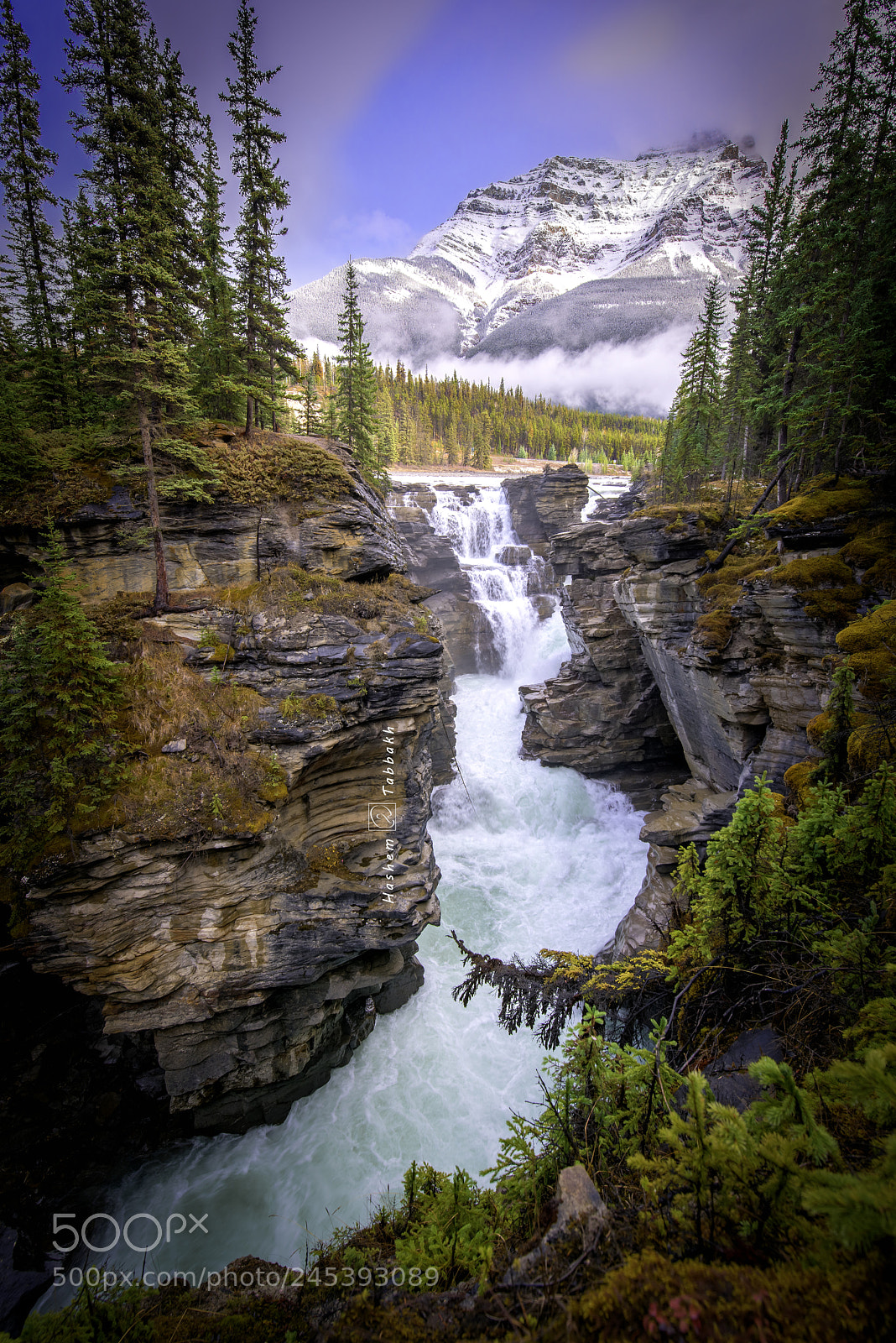 Nikon D810 sample photo. Athabasca photography