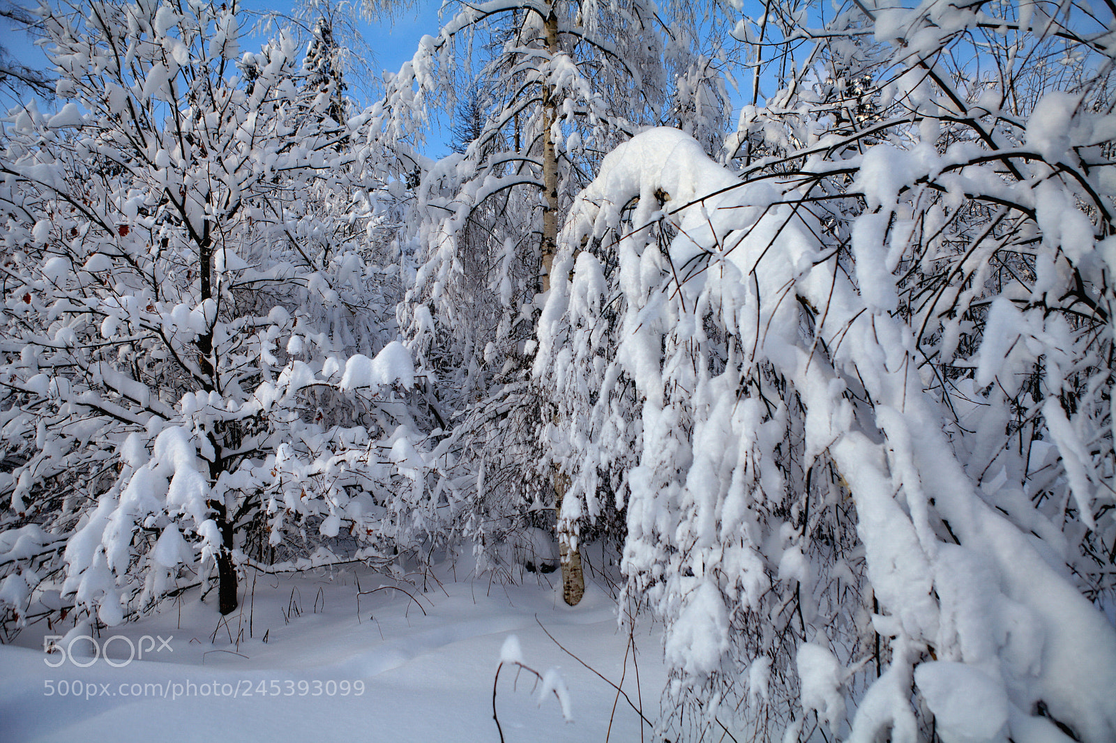 Canon EF 24-70mm F2.8L USM sample photo. Winter in russia photography
