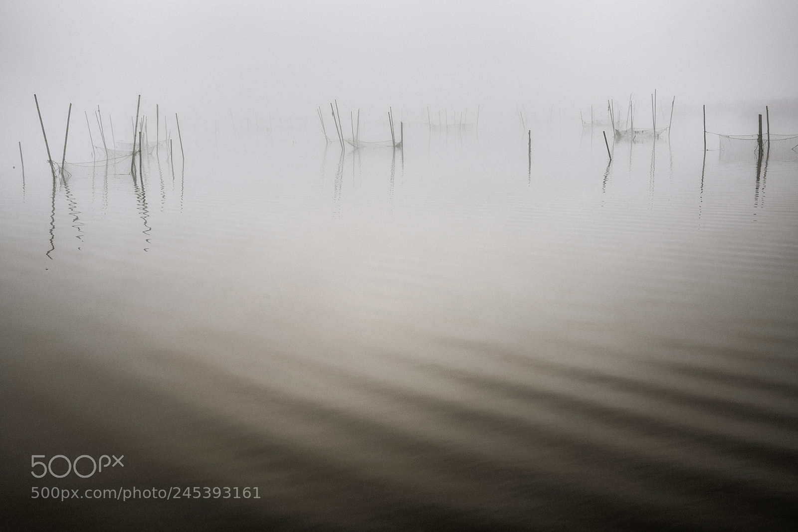 Sony a99 II sample photo. A misty morning 2 photography