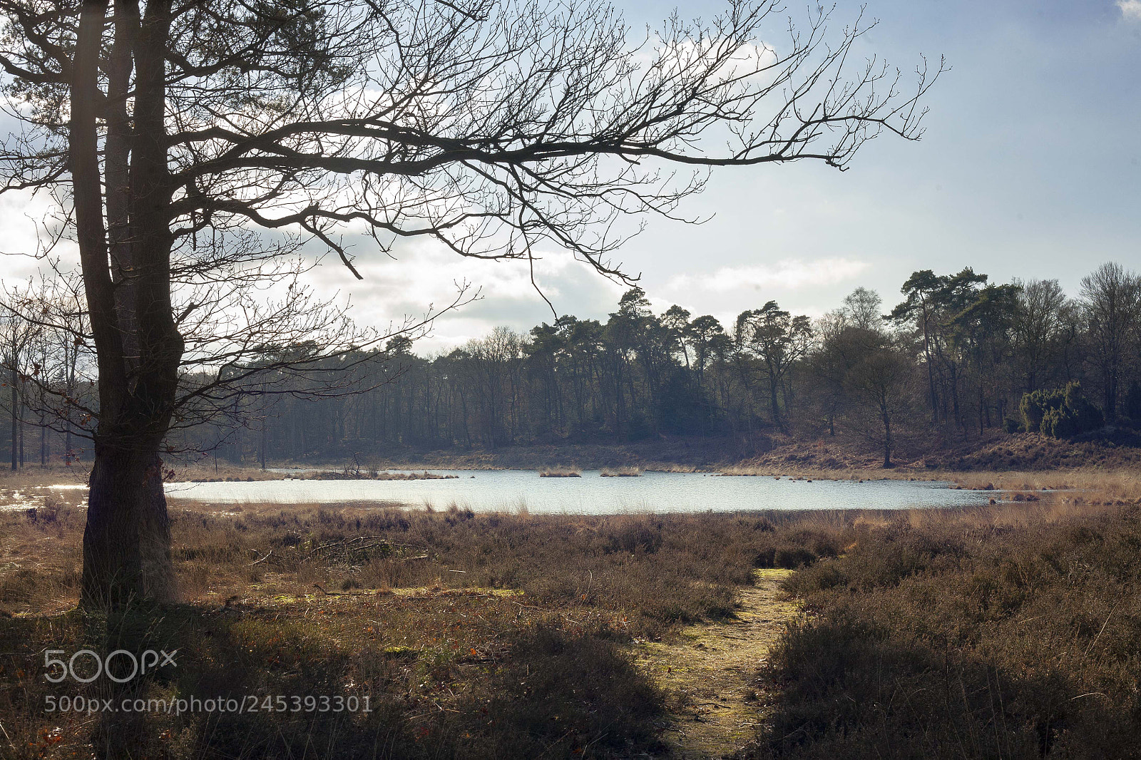 Canon EOS 5D sample photo. Secret lake photography