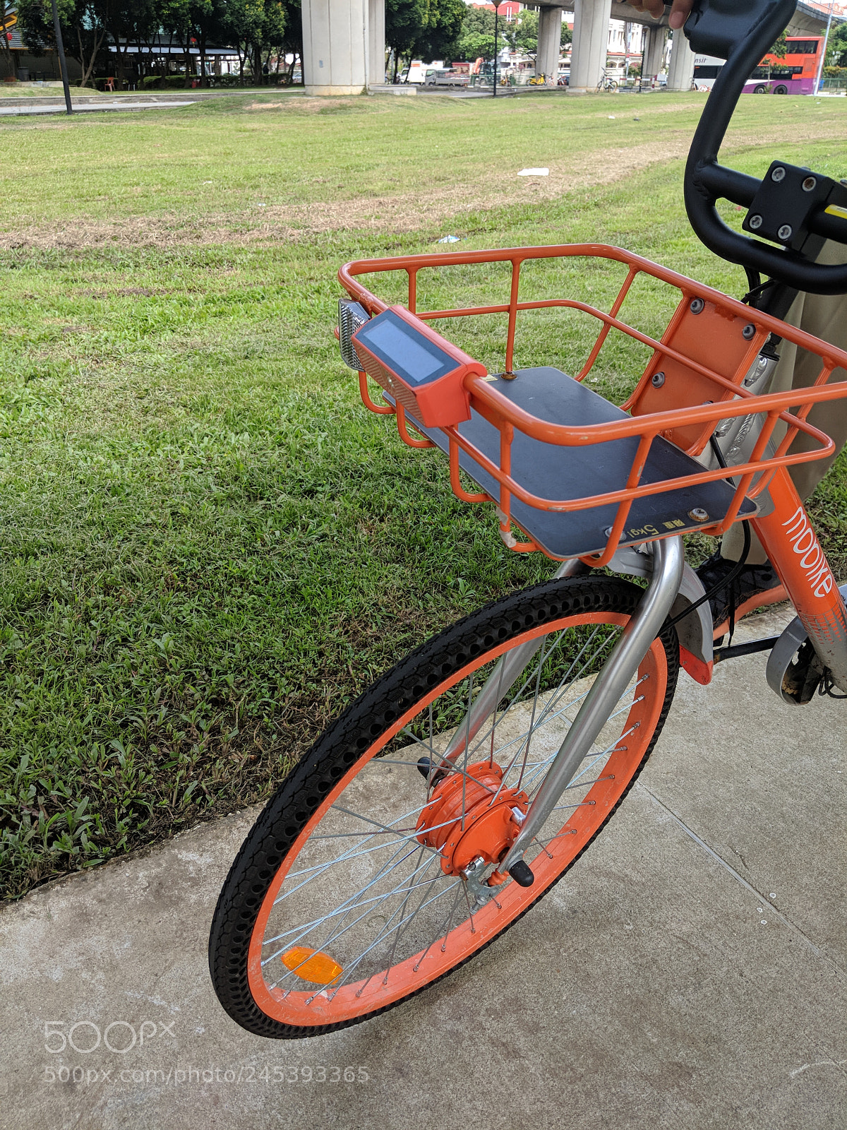 Google Pixel 2 XL sample photo. Untitled photography