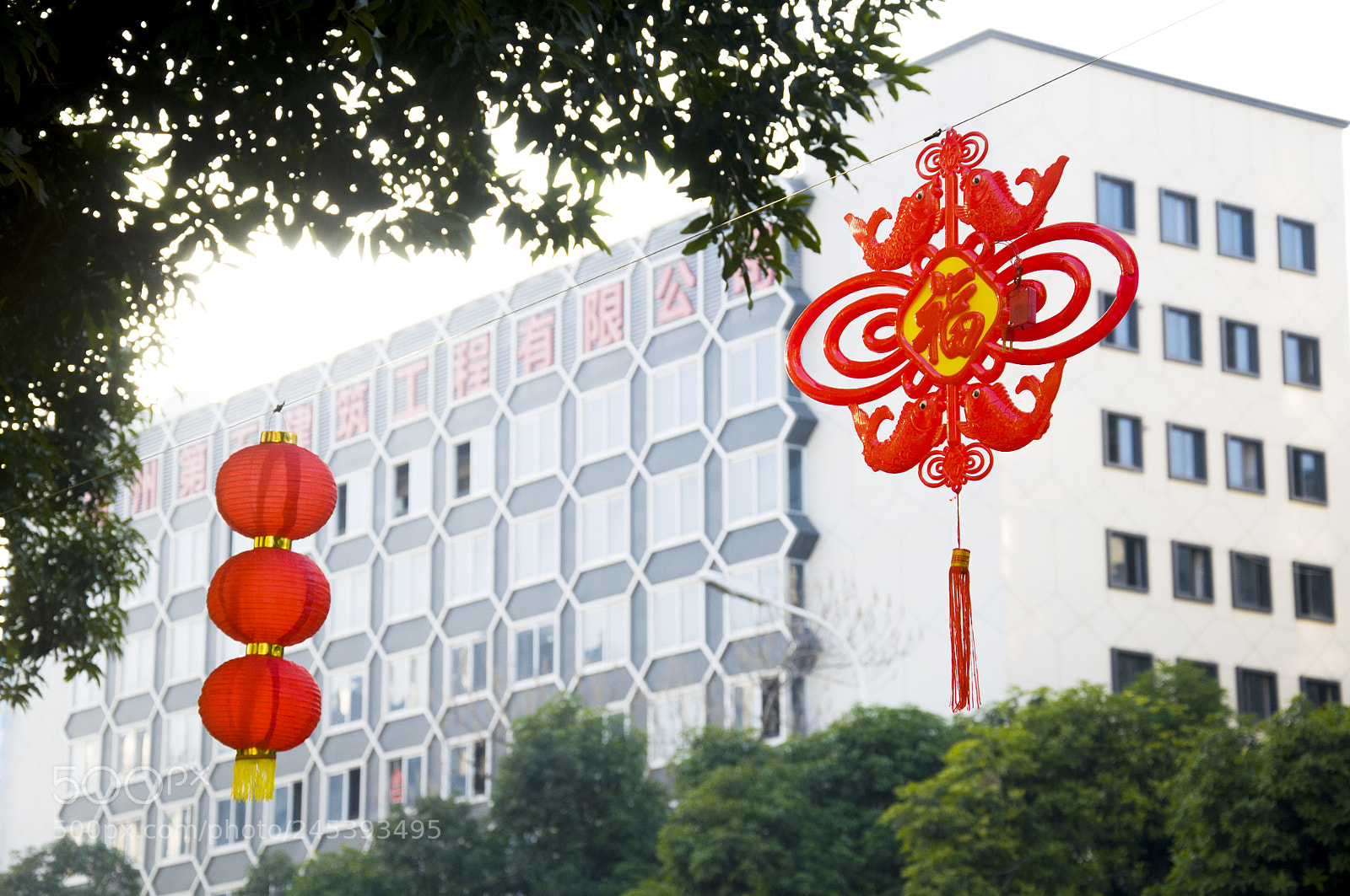 Nikon D90 sample photo. Chinese knot photography