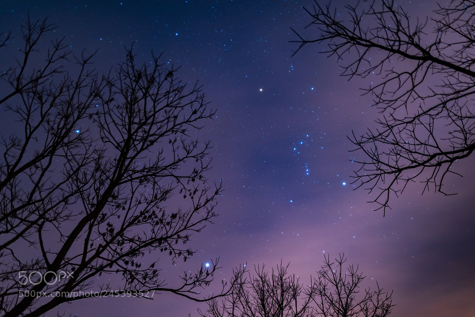 Nikon D810 sample photo. 崇明上空 photography