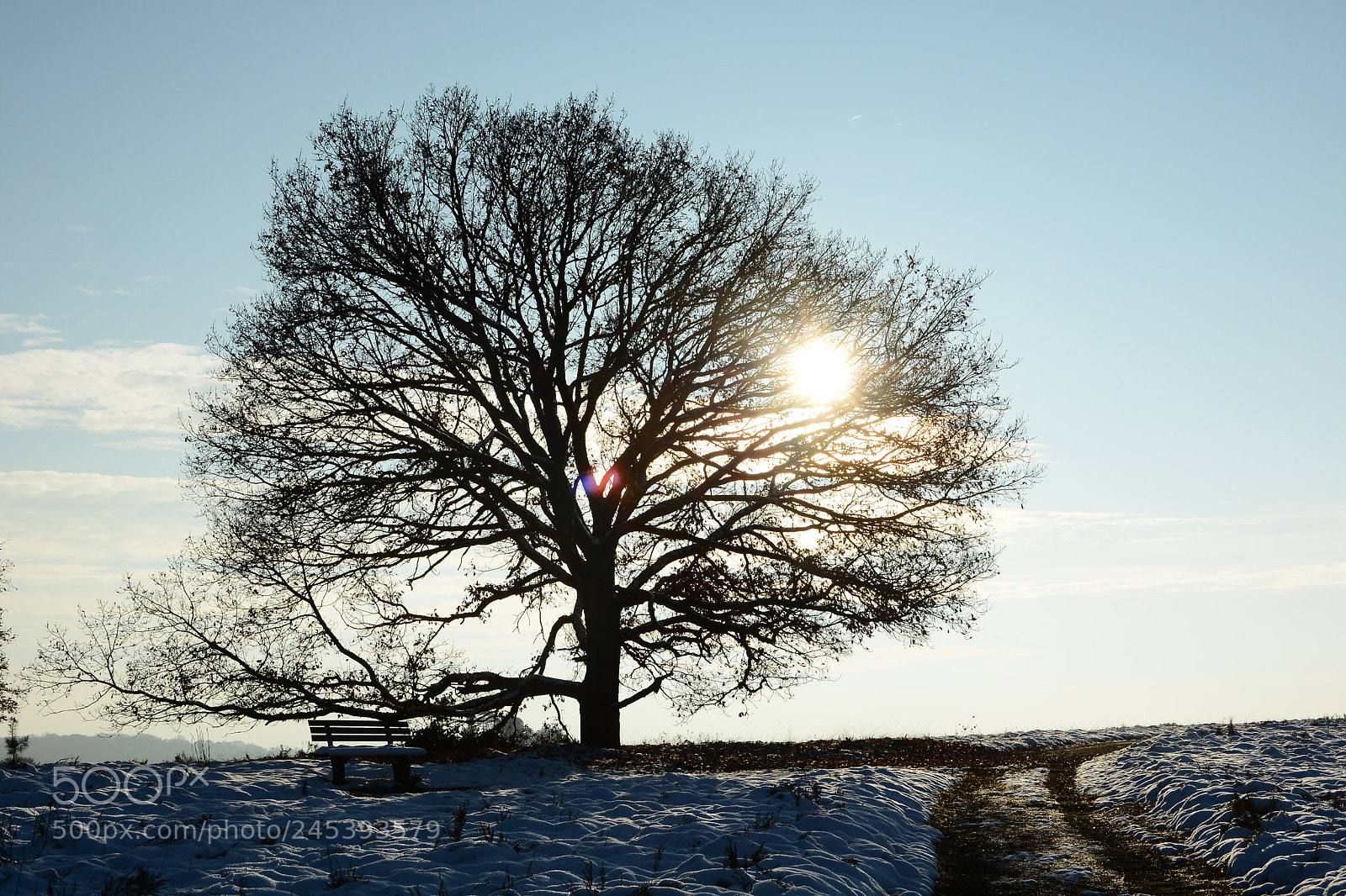 Nikon D5200 + Nikon AF-S DX Nikkor 35mm F1.8G sample photo. Wintersonne photography