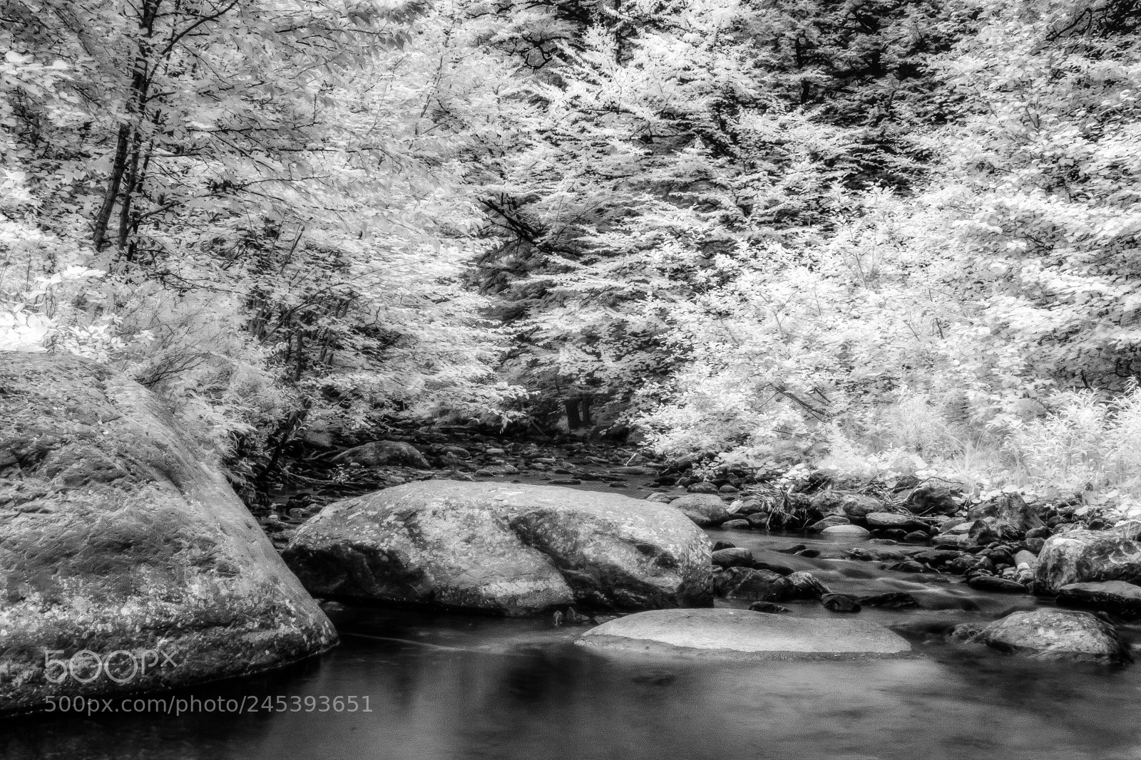 Canon EOS 400D (EOS Digital Rebel XTi / EOS Kiss Digital X) sample photo. Mountain stream infrared photography