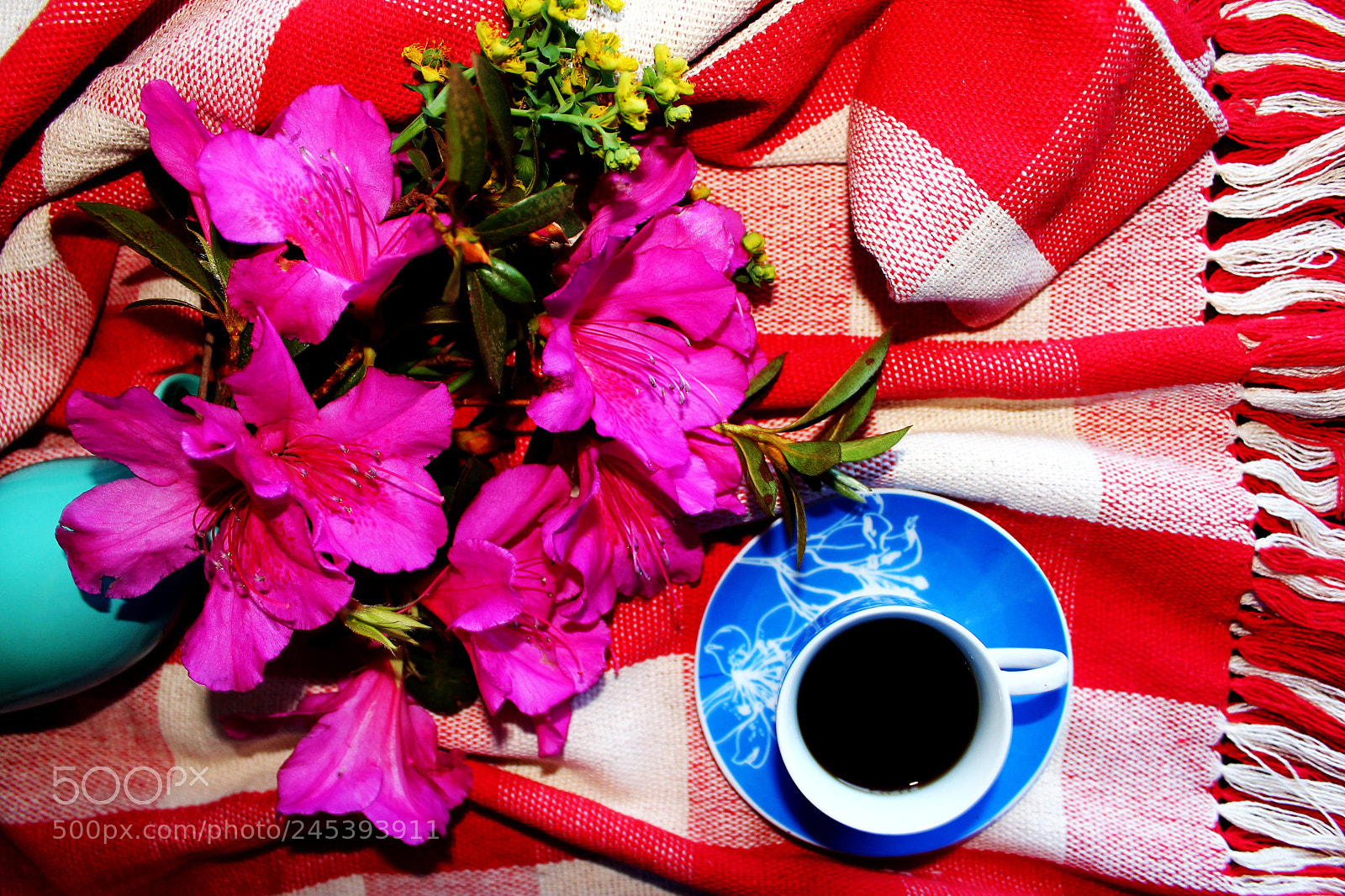Canon EOS 1100D (EOS Rebel T3 / EOS Kiss X50) sample photo. Natureza morta photography