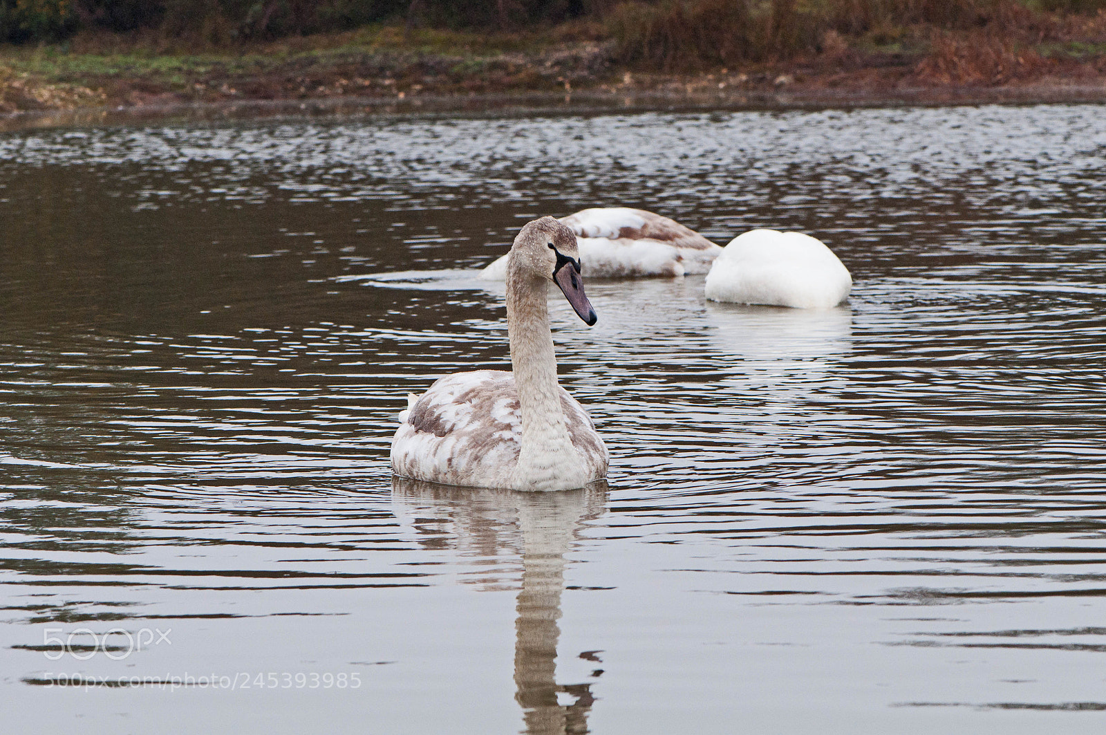 Nikon D90 sample photo. Greenham common photography