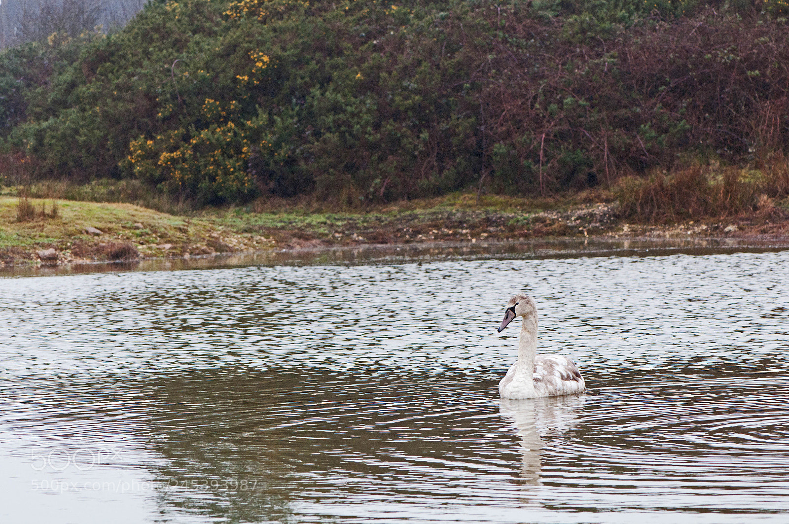 Nikon D90 sample photo. Greenham common photography