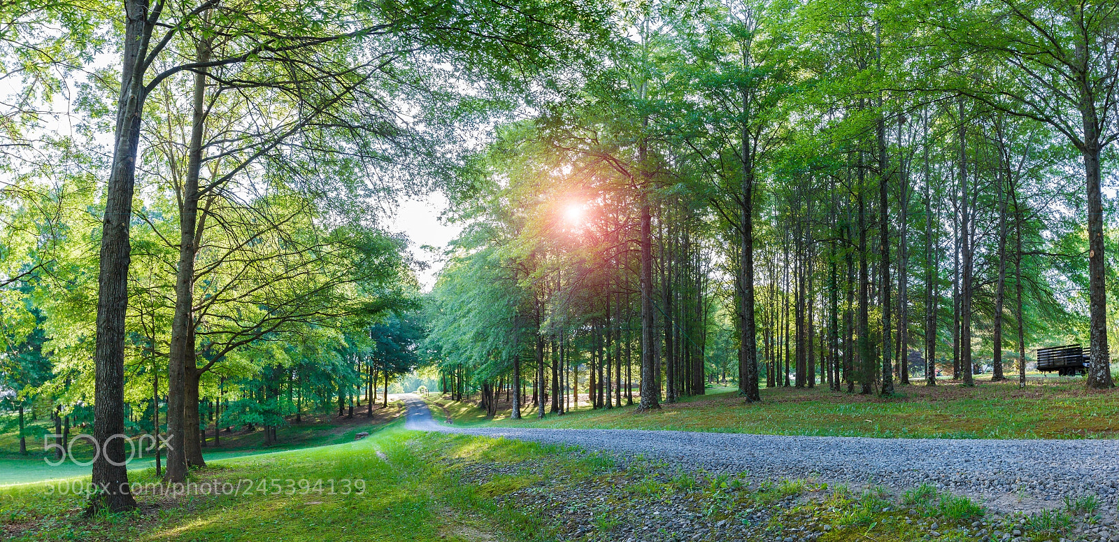 Canon EOS 60D sample photo. Early morning sun in photography