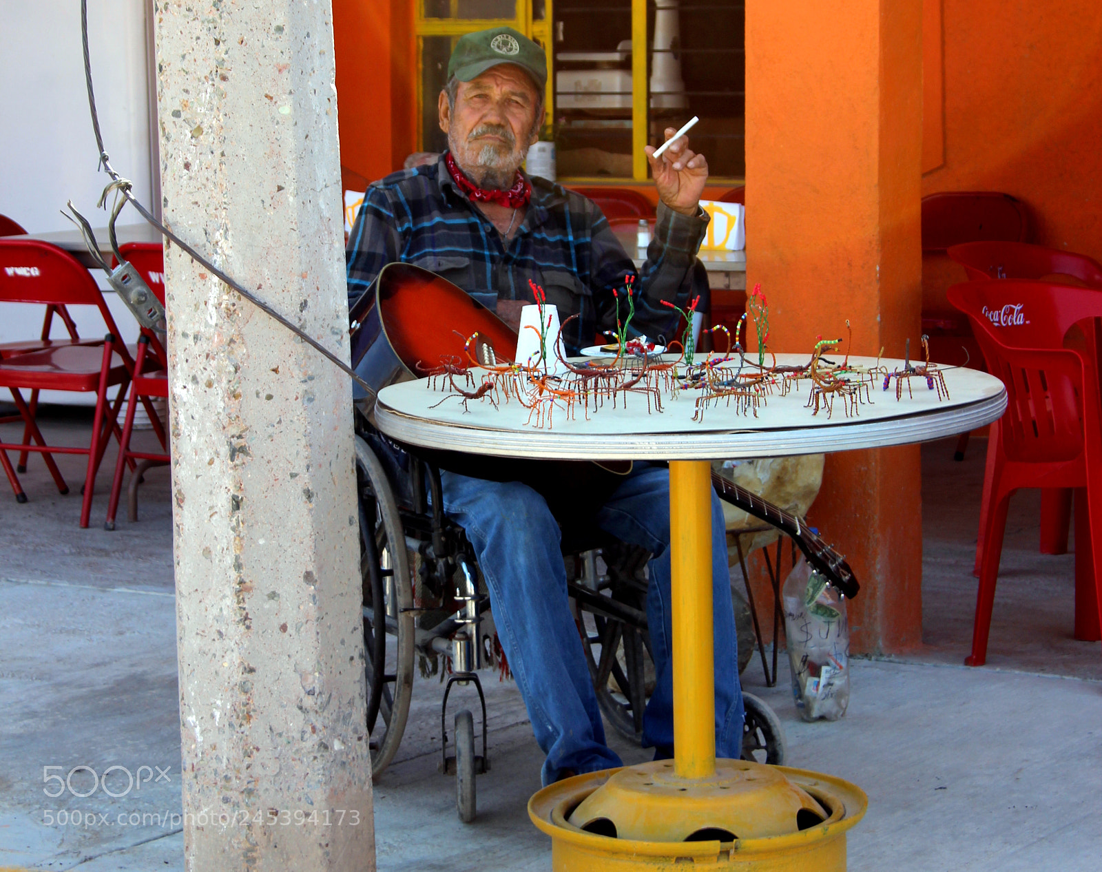 Canon EOS 600D (Rebel EOS T3i / EOS Kiss X5) sample photo. Get your copper scorpions photography