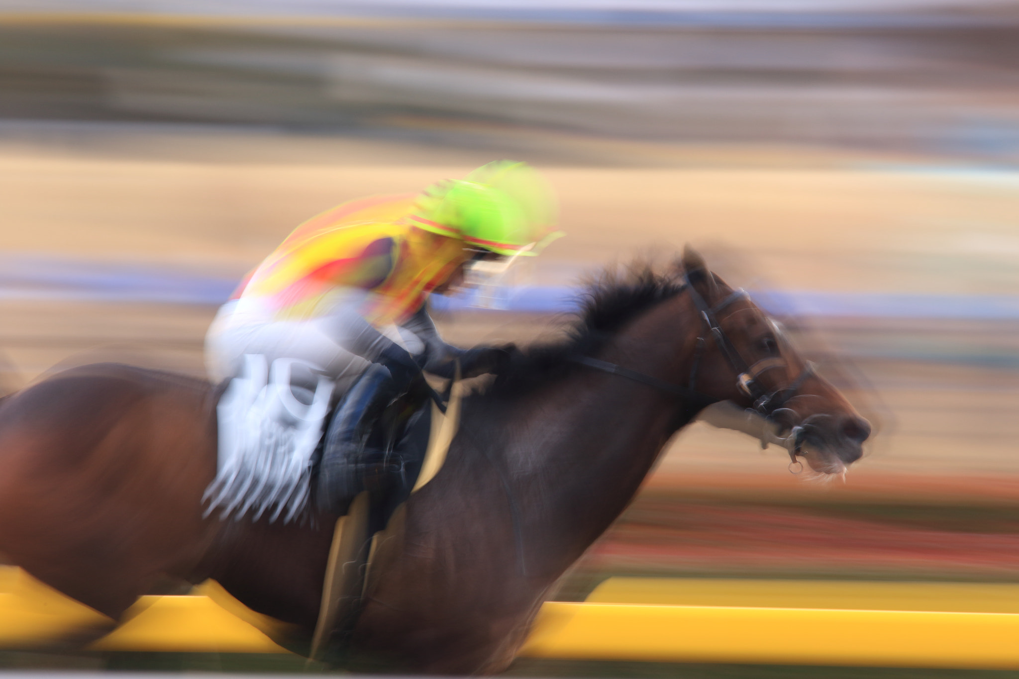 Sigma 150-600mm F5-6.3 DG OS HSM | C sample photo. Race horse photography