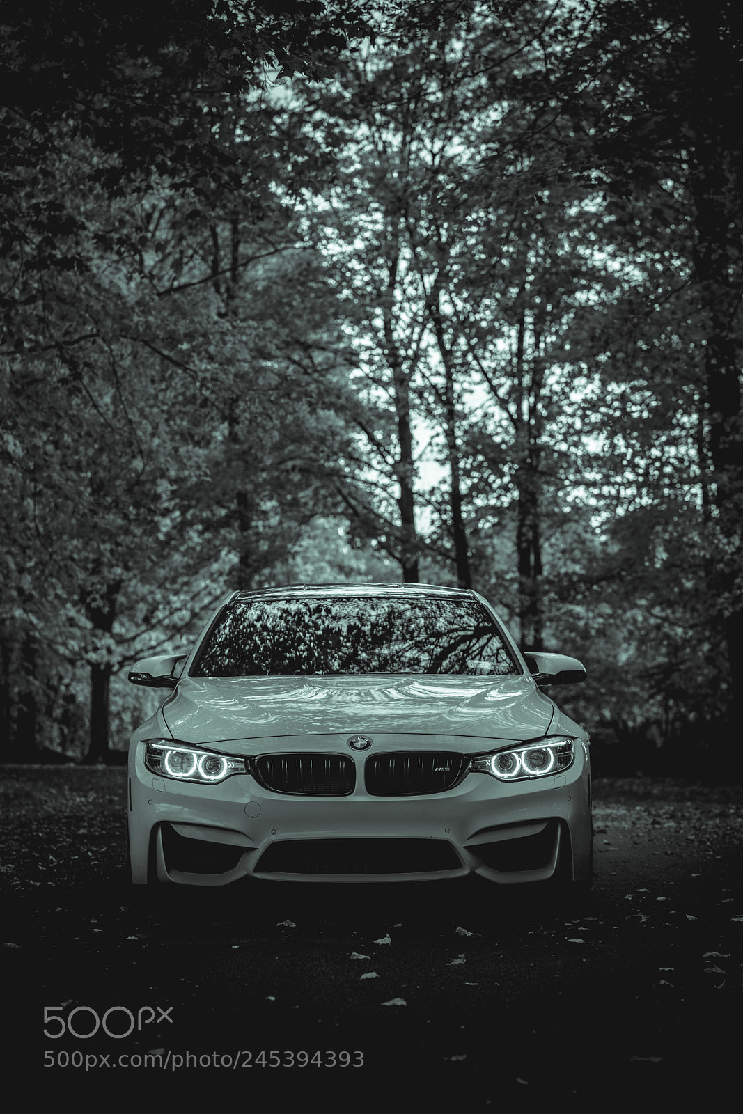 Sony a7R II sample photo. Dimension photography