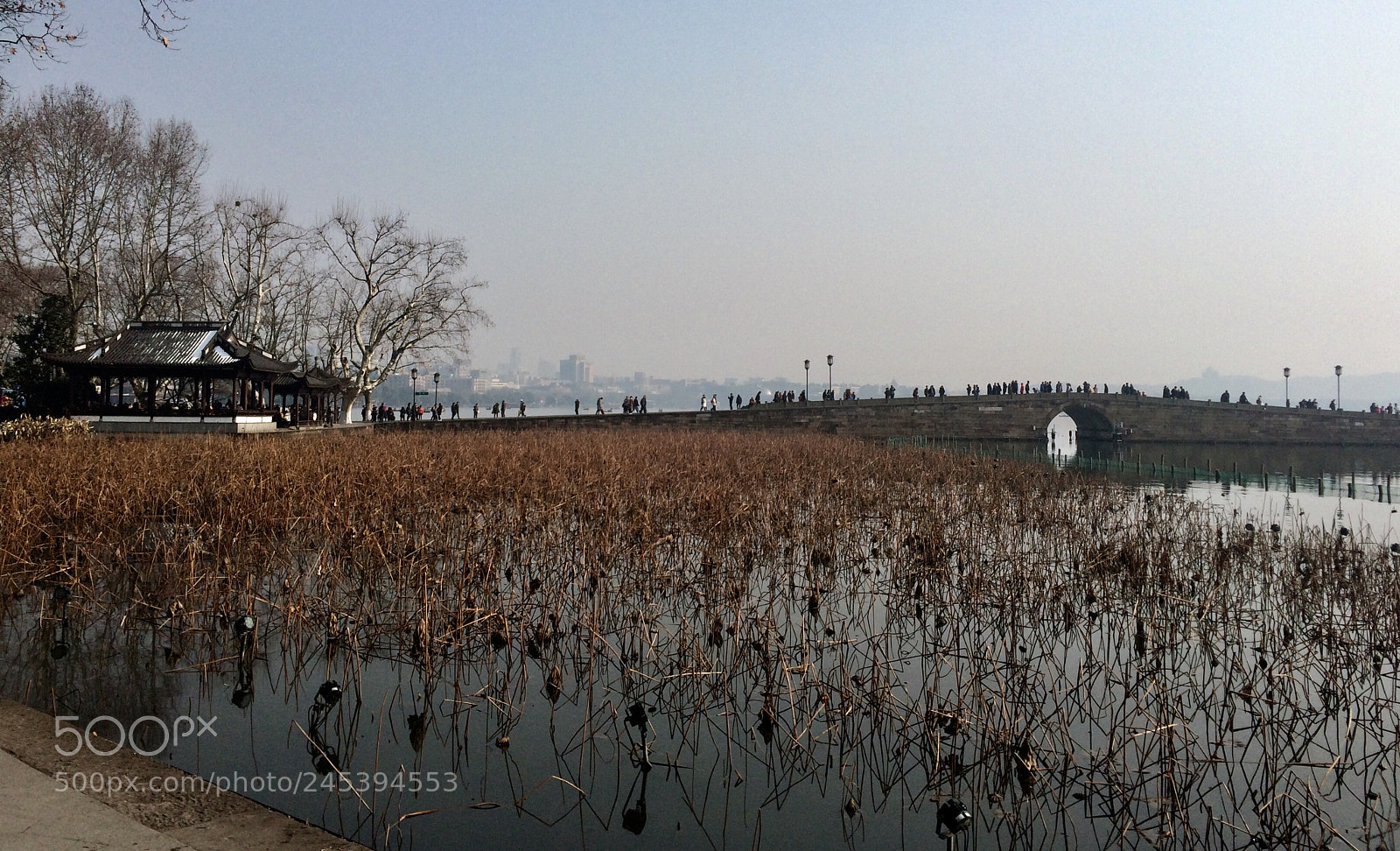 Apple iPhone 5s sample photo. Untitled photography