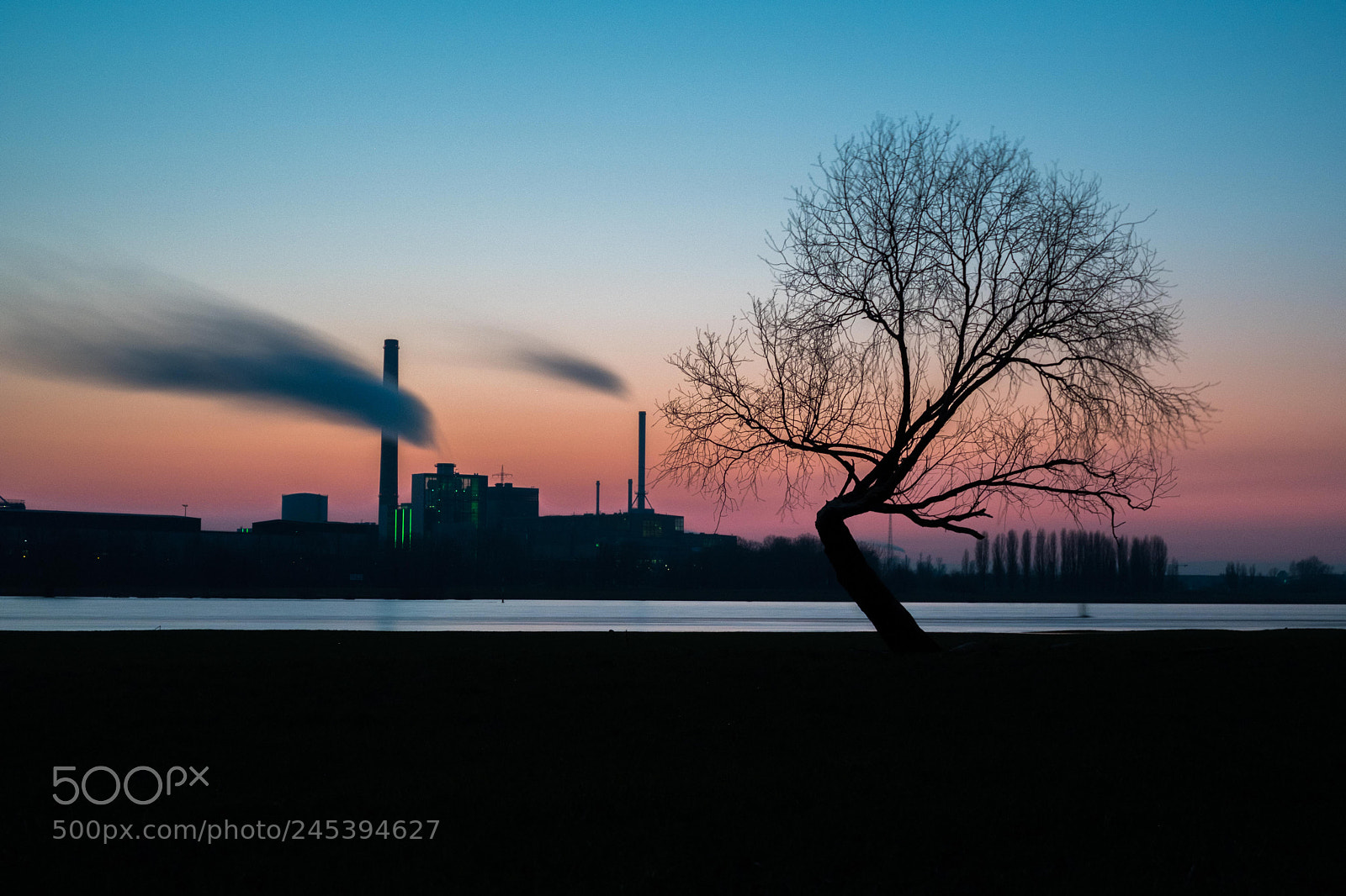 Fujifilm X-T20 sample photo. Tree vs smoke photography