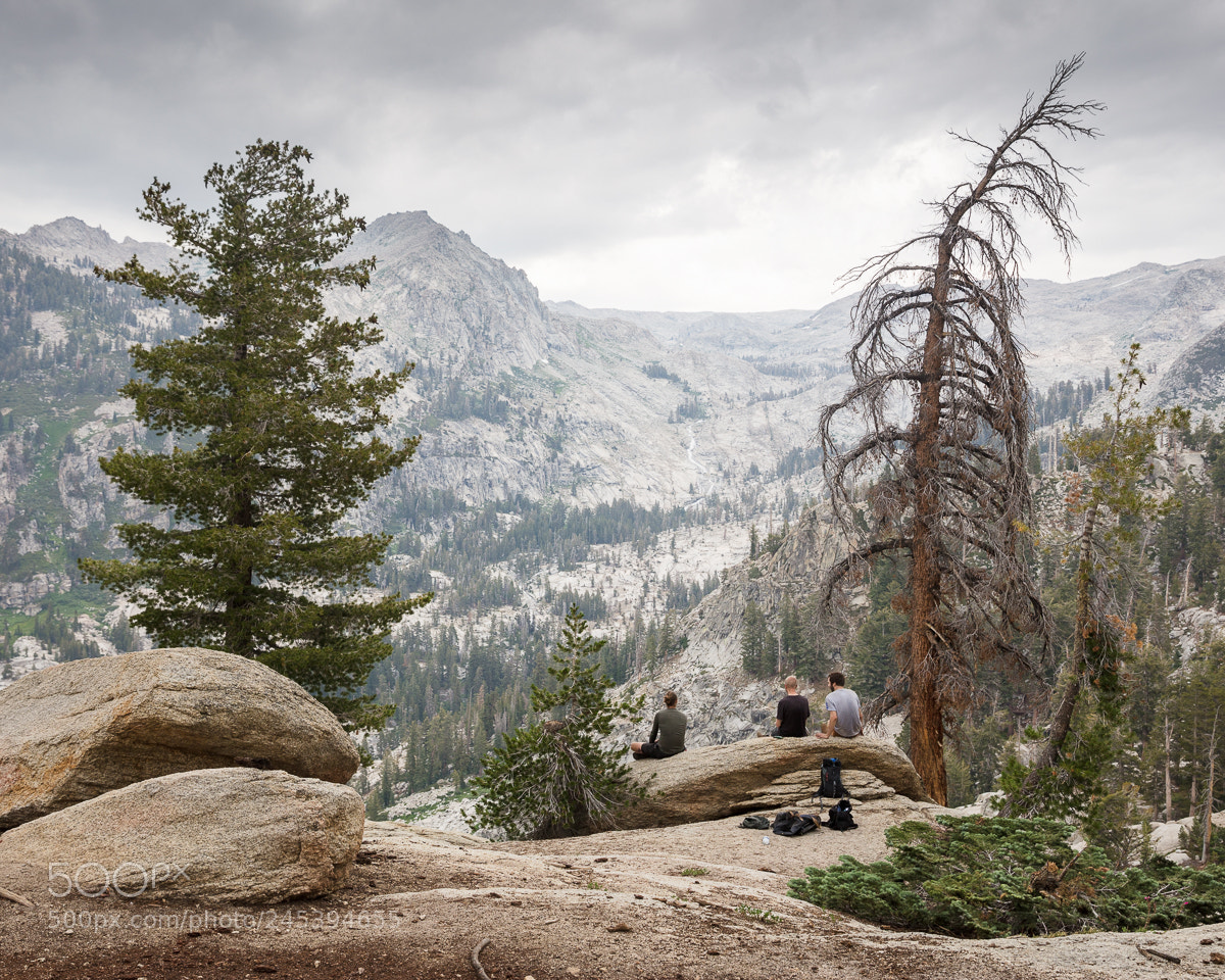 Canon EOS 5DS R sample photo. Sequoia national park x photography