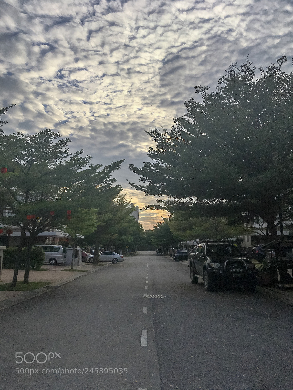 Apple iPhone SE sample photo. Beauty in the morning⛅️ photography