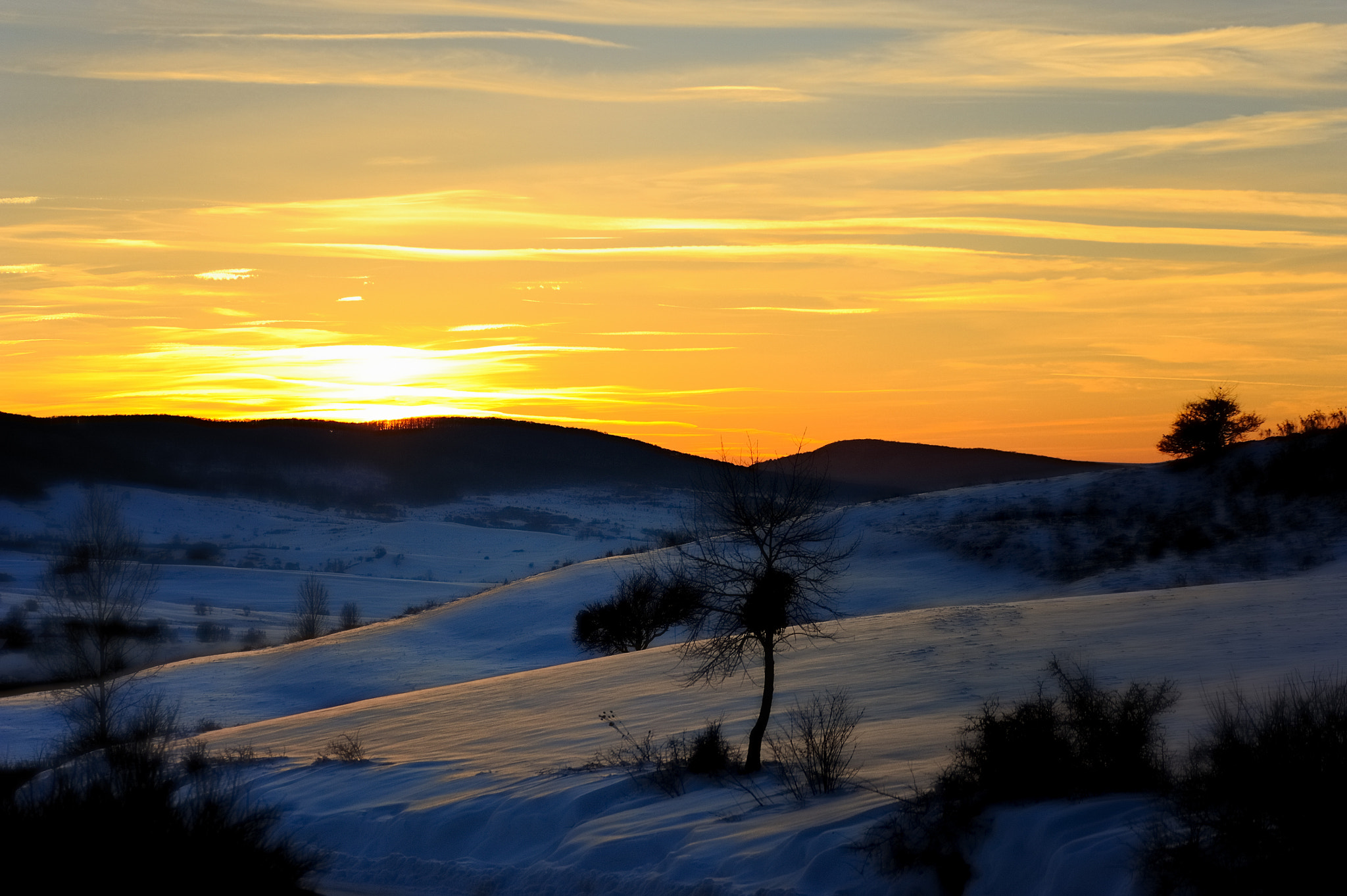 Nikon D700 + Sigma 105mm F2.8 EX DG OS HSM sample photo. Winter  2831 photography