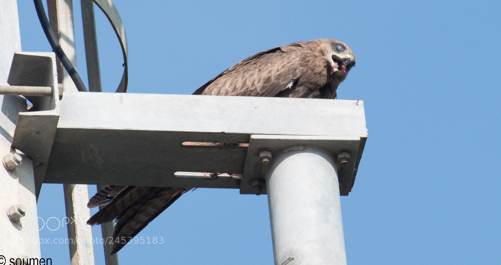 Nikon D5500 sample photo. You are not getting photography
