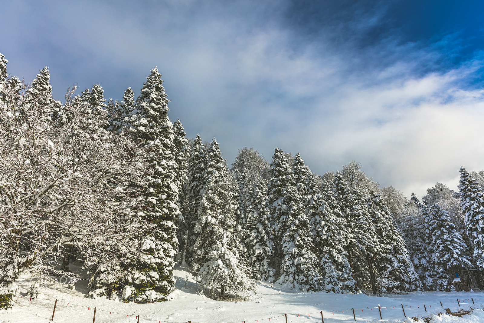 Canon EOS 5DS R sample photo. Snow village photography