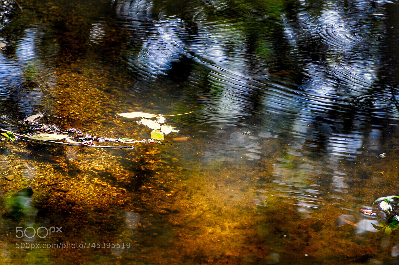 Nikon D700 sample photo. 《morning creek》2。 photography