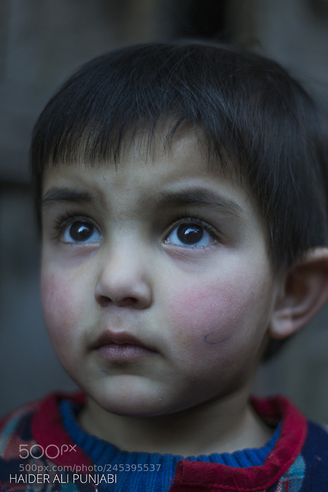 Nikon D3100 sample photo. Innocence photography